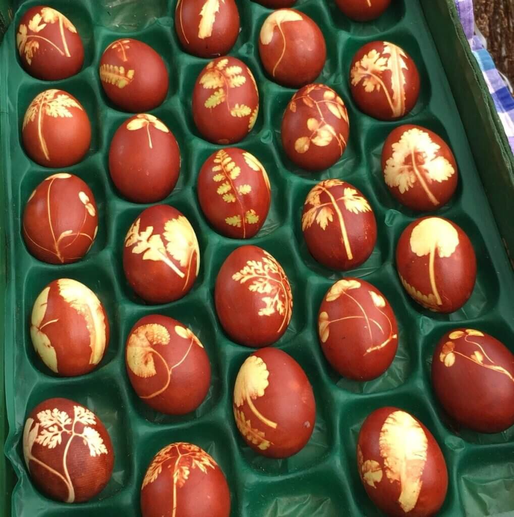boiled eggs