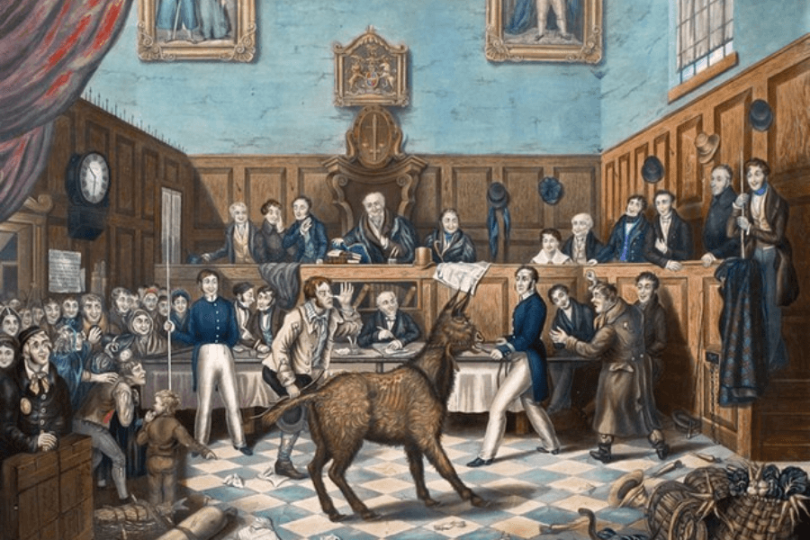 Humorous historical illustration depicting a crowded courtroom scene where a donkey stands in the middle as part of the proceedings, surrounded by amused spectators, judges, and lawyers in period attire, with wood-paneled walls and portraits hanging above.