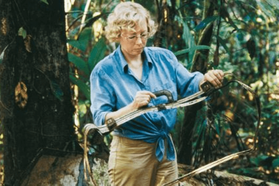 A woman in a blue shirt and khaki pants inspects a twisted metal component from an aircraft wreckage in a dense jungle. She appears focused and calm, surrounded by thick vegetation and tree trunks.