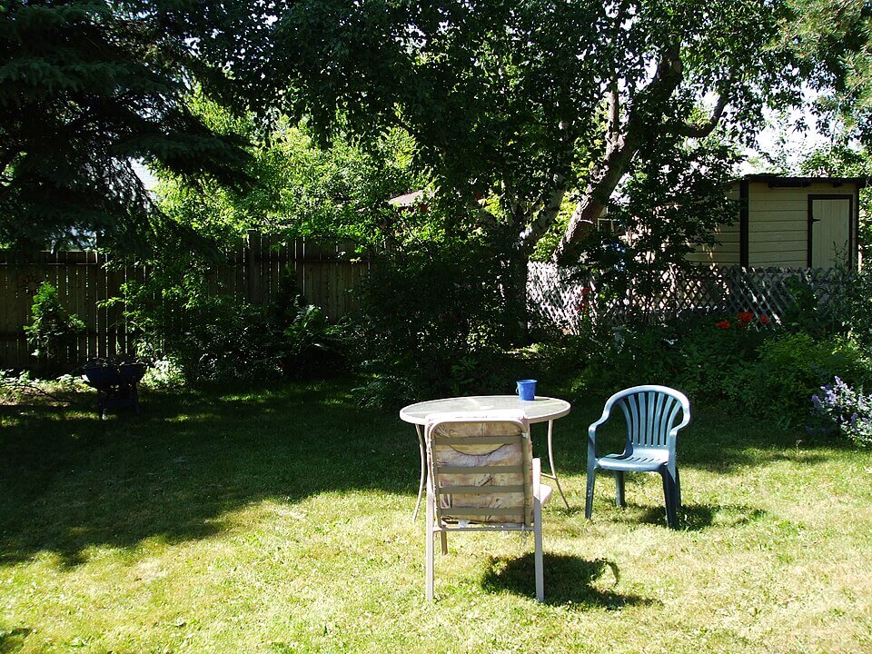 Average american backyard