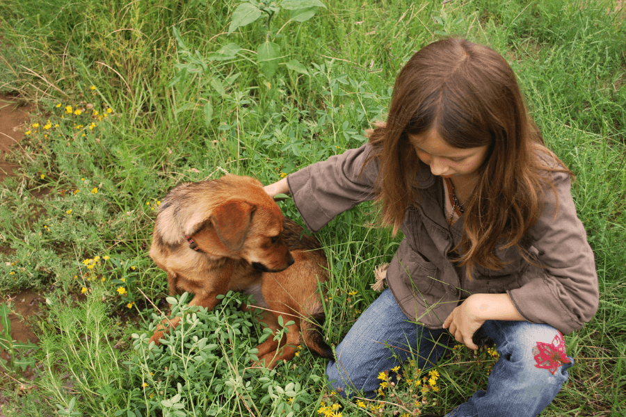 Young girl with long brown hair kneeling in a field of wildflowers and tall grass, gently petting a small brown dog who is sitting beside her and looking away.