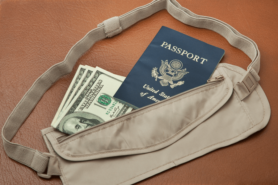 This image shows a travel pouch with a zipper, partially open to reveal a U.S. passport and a stack of U.S. $100 bills. The pouch is resting on a leather surface, emphasizing a travel-ready setup for securing important documents and money.