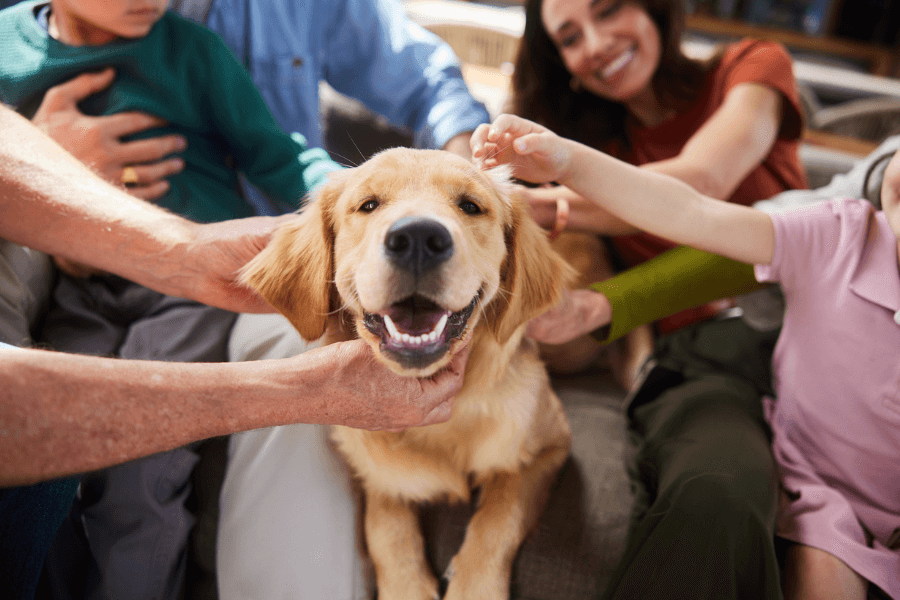 Happy golden retriever surrounded by a smiling family, all reaching out to pet and cuddle the dog while sitting together on a couch, capturing a joyful moment of love and bonding.
