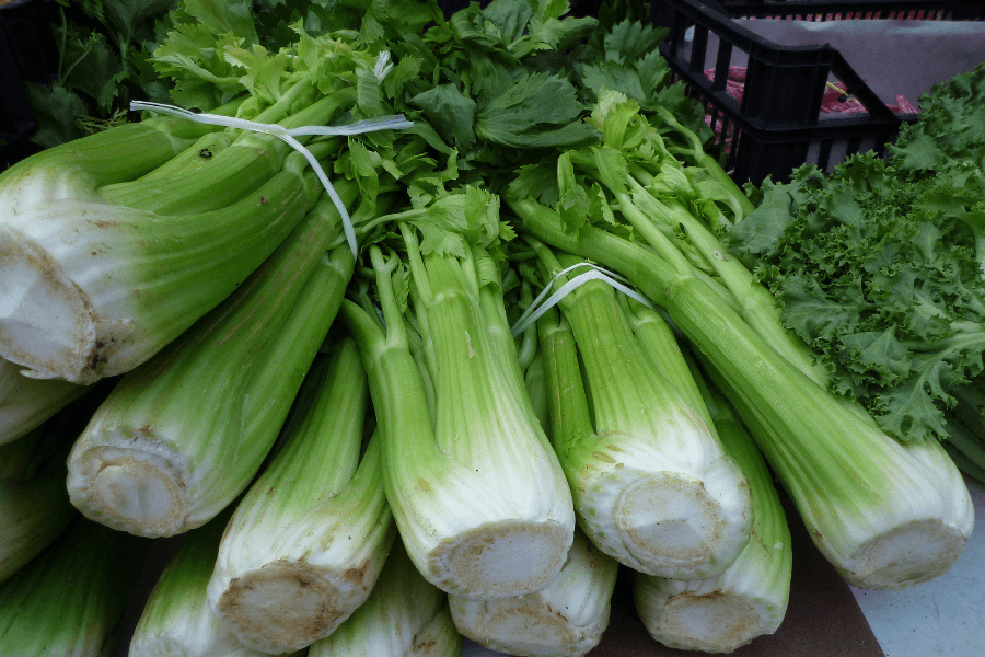 A pile of fresh celery stalks with bright green leaves and thick white bases, bundled together with plastic ties at a market. The celery is stacked neatly, with additional leafy greens visible in the background.