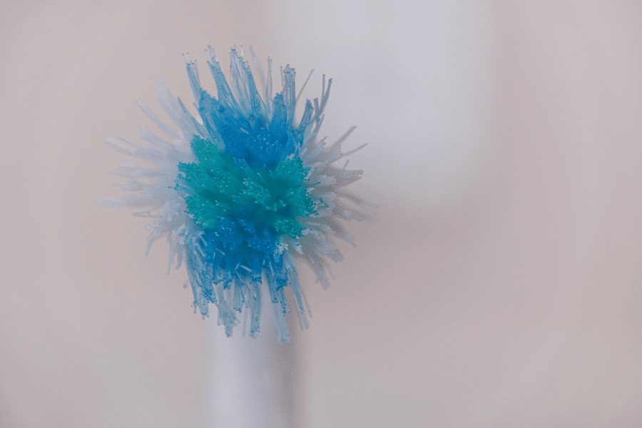 This image shows a close-up of a toothbrush head with blue and white bristles, focusing on the texture and detail of the bristles. The blurred, light background emphasizes the toothbrush, giving it a clean and minimalistic appearance.