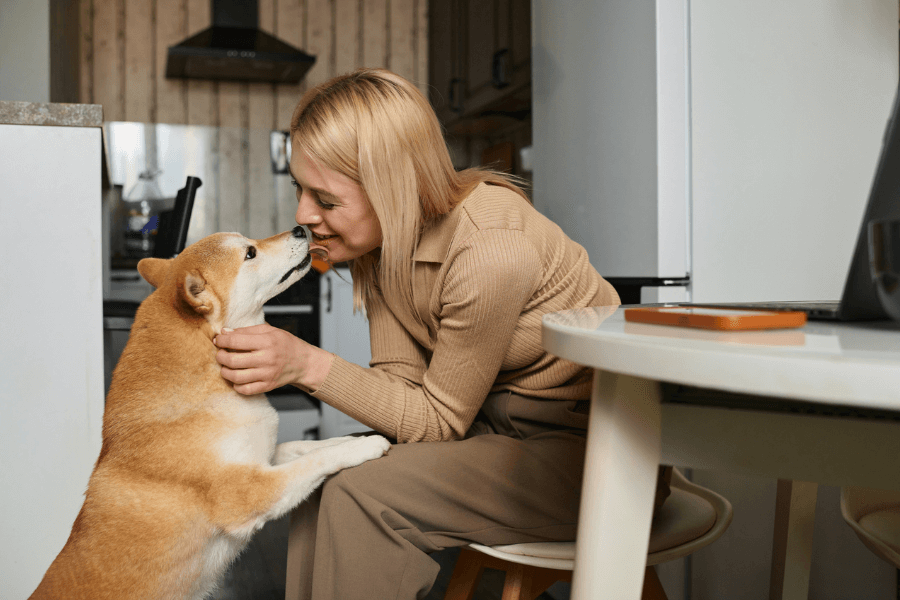Smiling woman kneeling in her kitchen and affectionately holding her Shiba Inu dog’s face as it gently nuzzles her, capturing a sweet and loving bond between pet and owner.