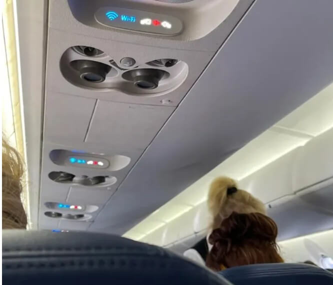An airplane cabin ceiling panel features air vents, reading lights, and illuminated signs, including an active WiFi indicator. Passengers seated below are visible from behind, with one person’s distinct blonde and brown ponytail standing out against the dimly lit interior.