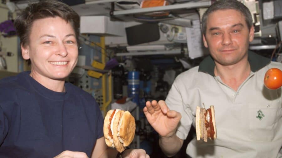 View of Astronaut Peggy Whitson, flight engineer (left) and Cosmonaut Valery Korzun, commander (right), eating a meal in the Service Module (SM)/Zvezda. Tomato and hamburger are floating