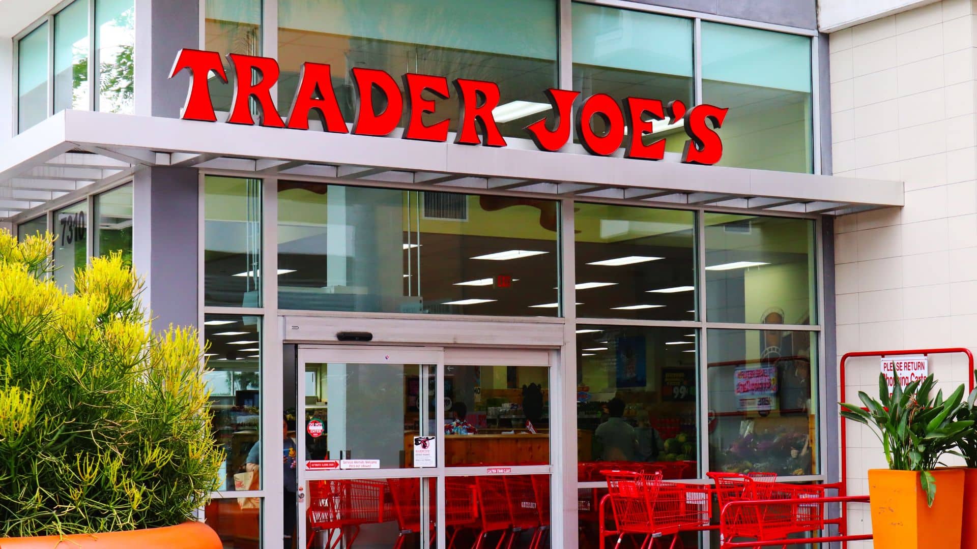Dutch griddle cakes from Trader Joe’s on a plate