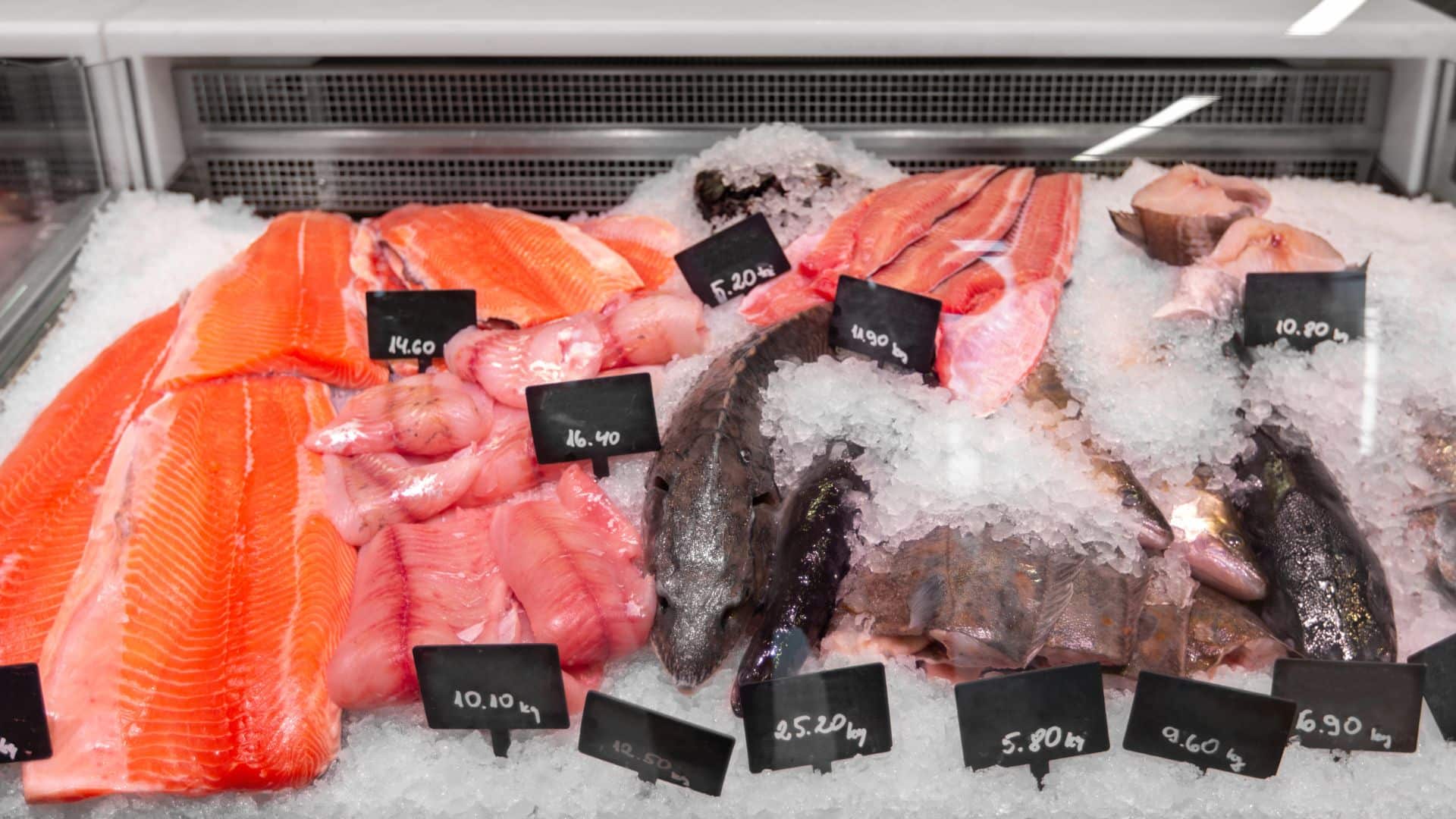Seafood in Fish Shop Fridge Display Case