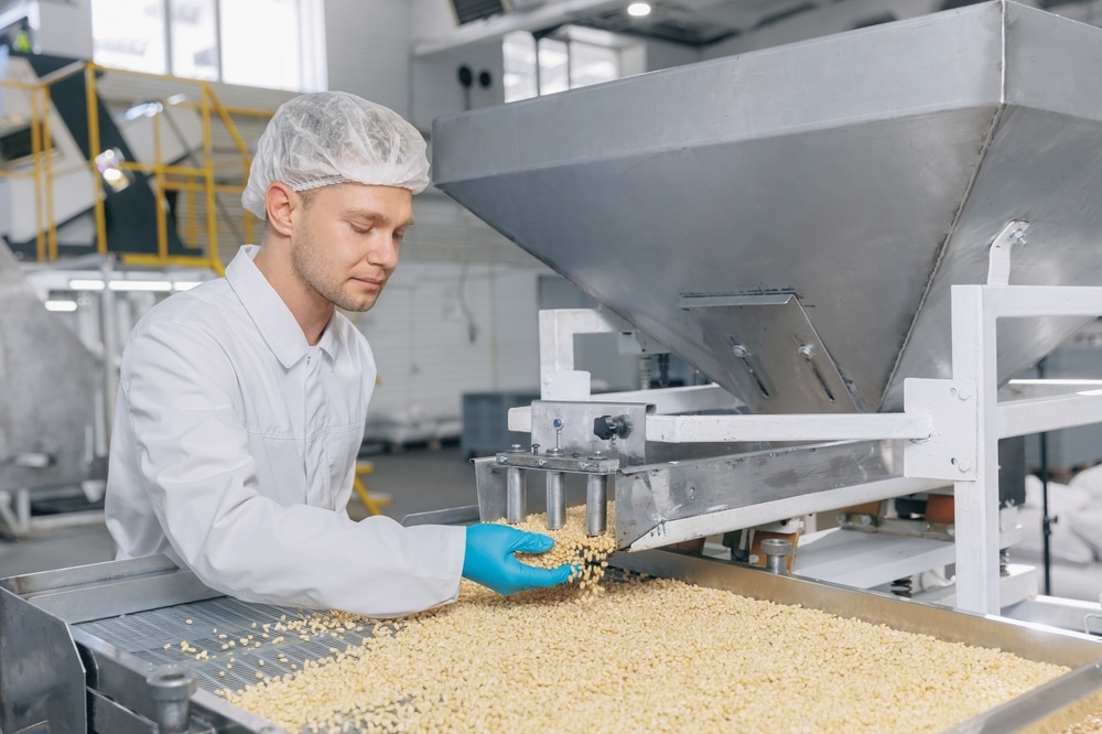 Man worker controls quality of pine nuts on production line. Industrial plant of organic food cedar cones.