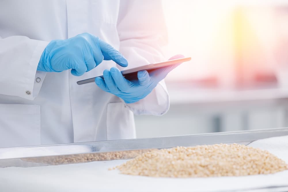 Concept nuts factory, food industry banner. Worker with computer tablet control quality of nut pine cedar in laboratory, sunlight white background.