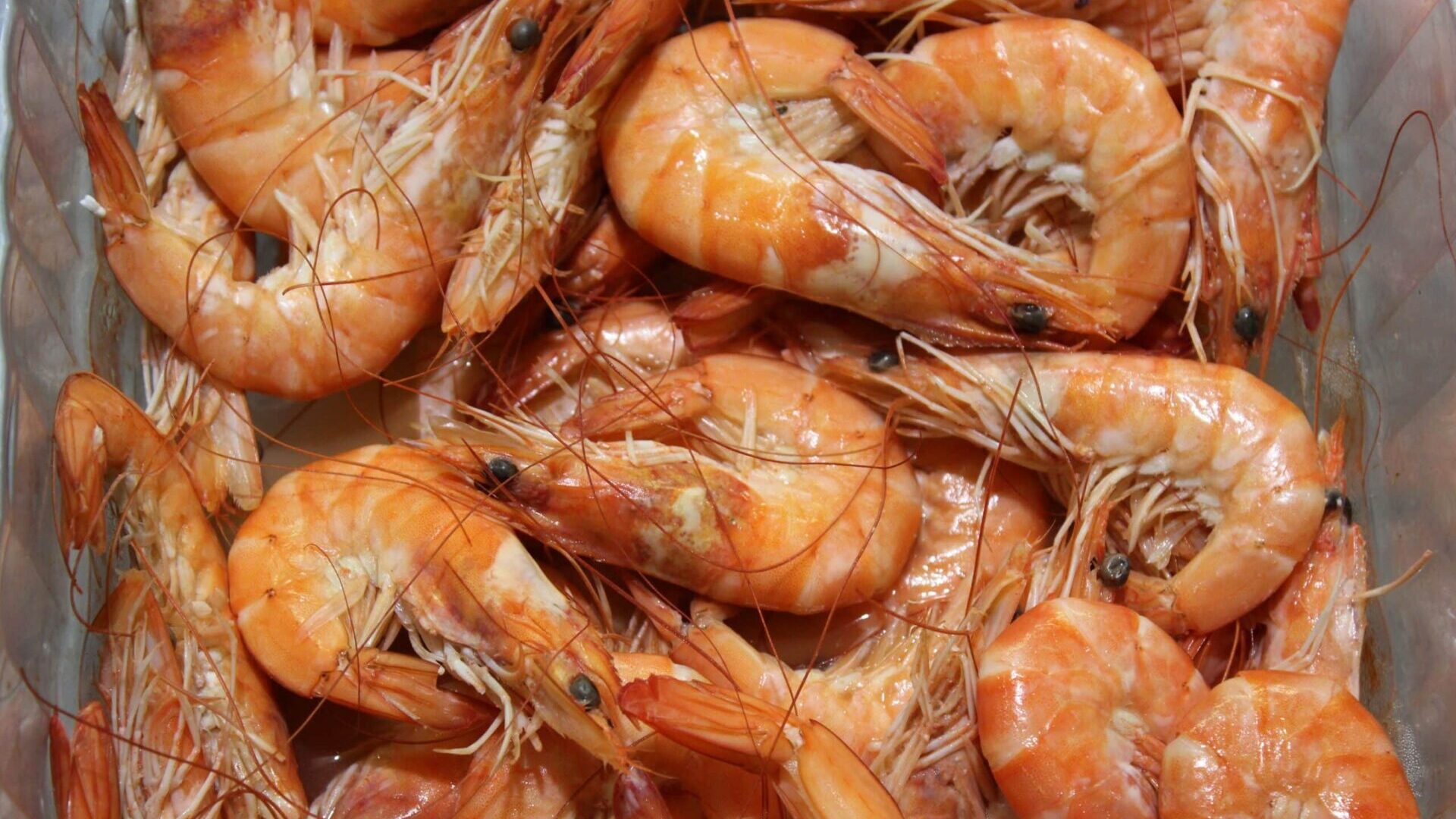 Plastic container filled with raw shrimp arranged in rows.
