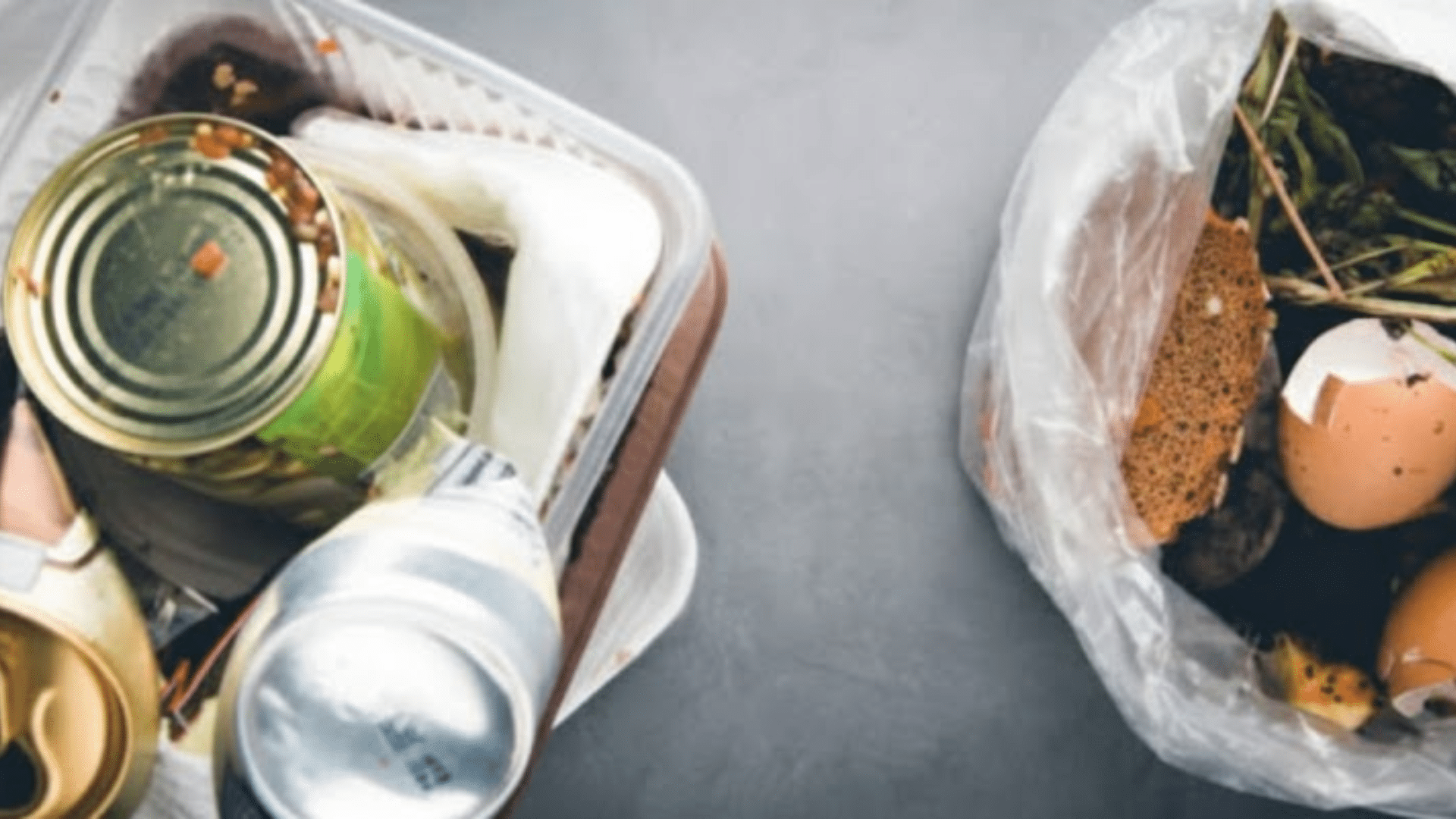 Wet foods and dry foods shown side by side to compare contamination risk