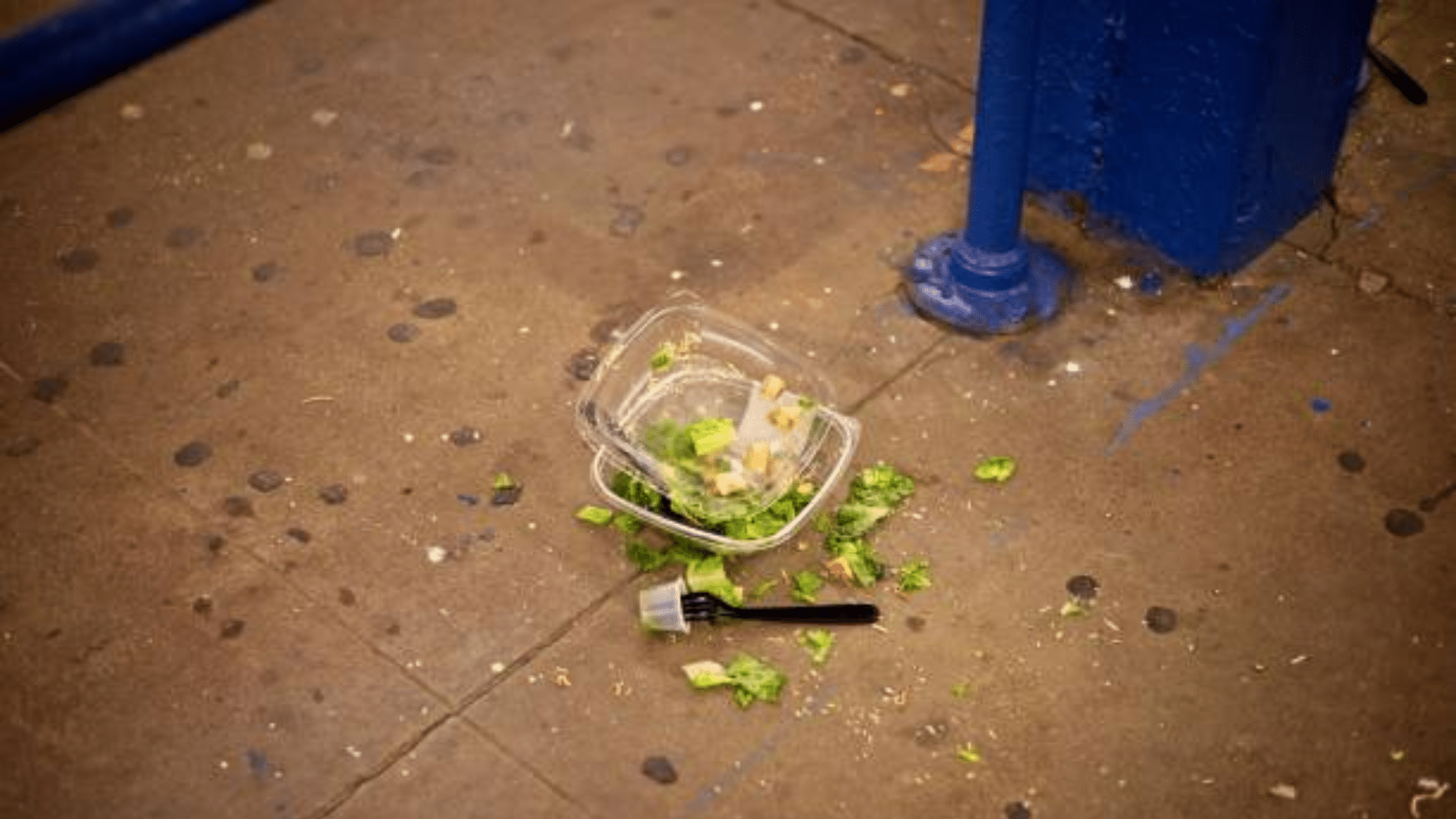 A piece of dropped food next to a trash bin, suggesting a safety choice.