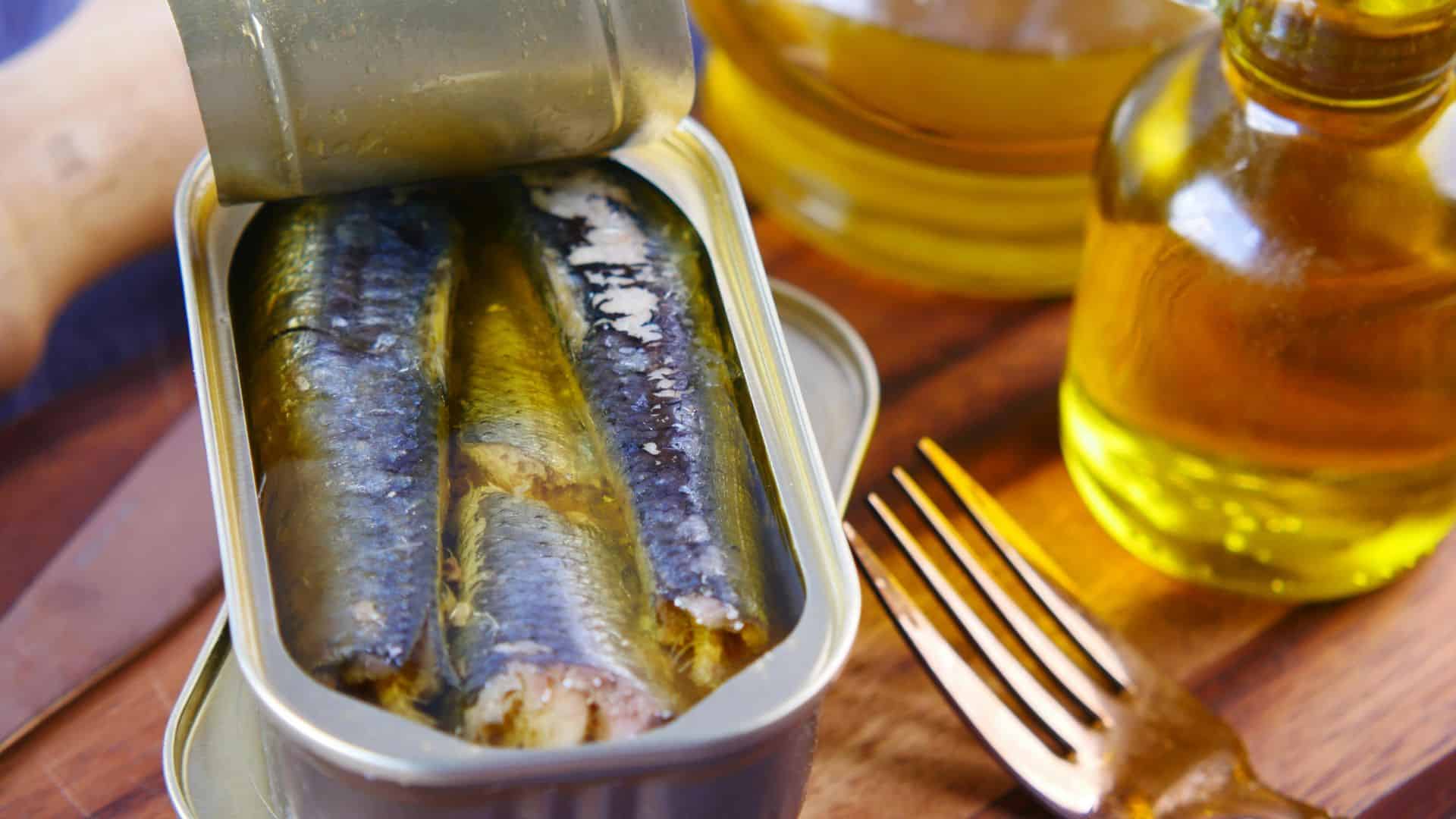 Open can filled with sardines packed in oil