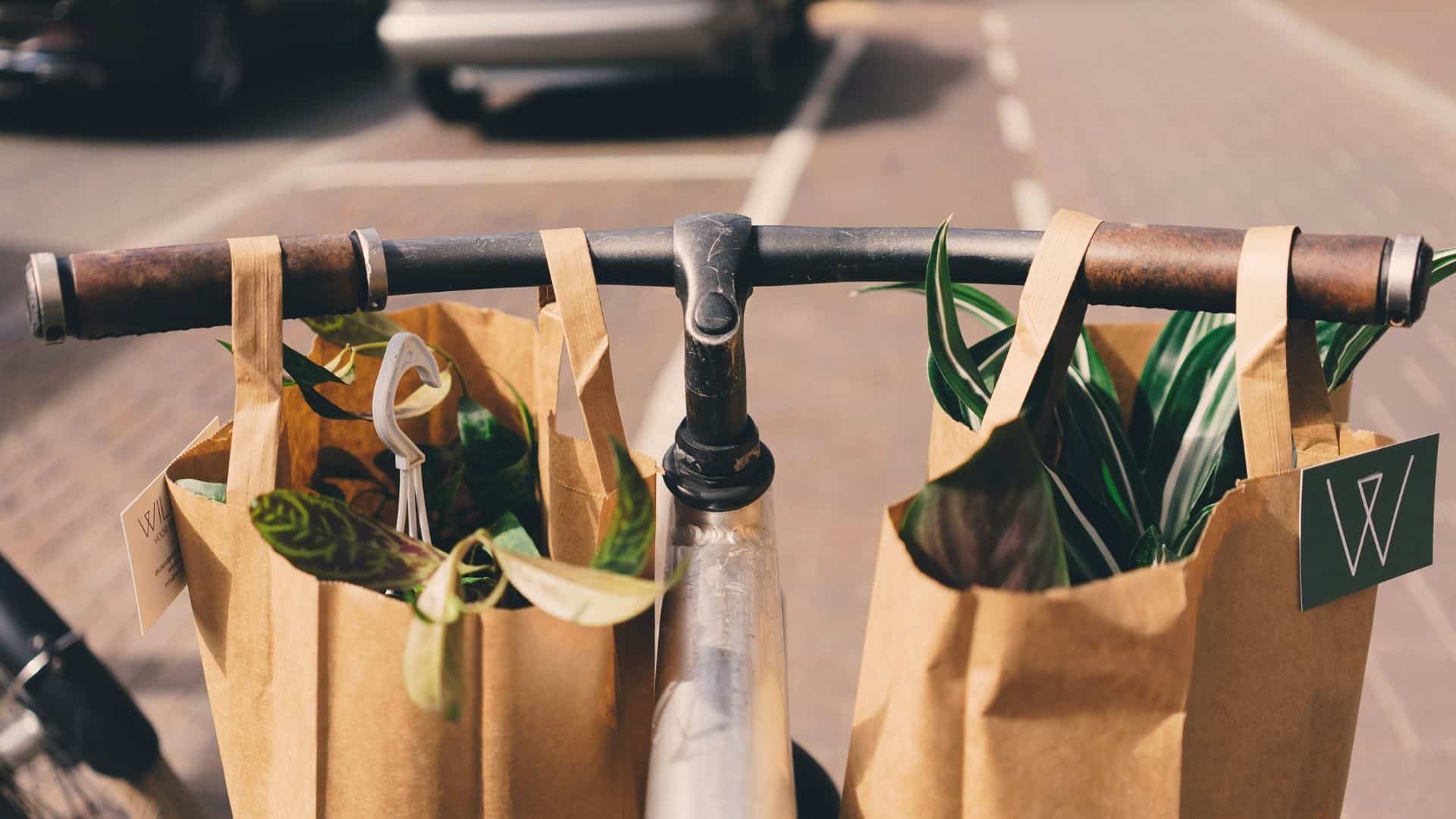Two brown paper bags hanging from a bicycle handlebar in an urban setting