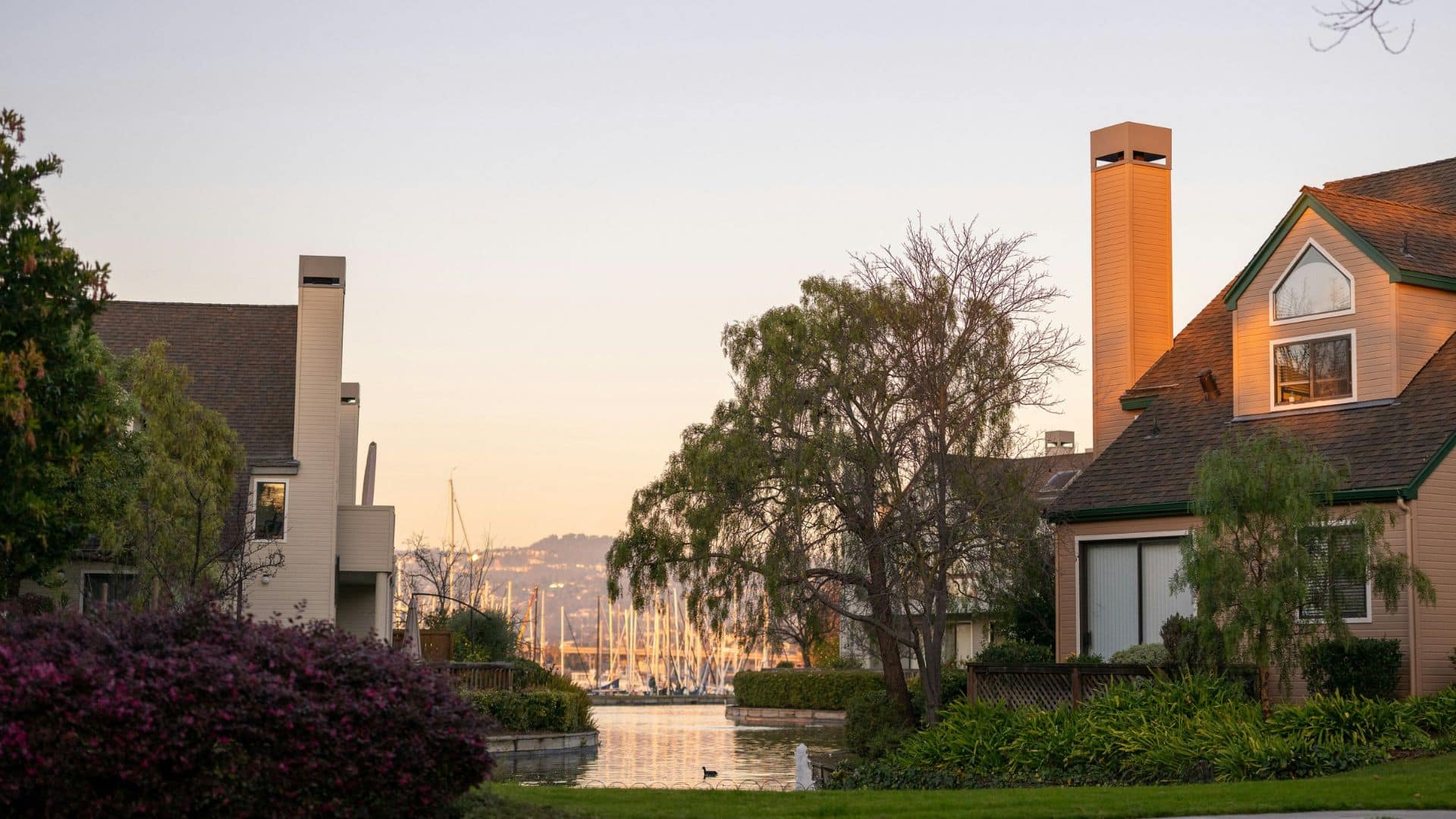 Residential home near a body of water surrounded by trees