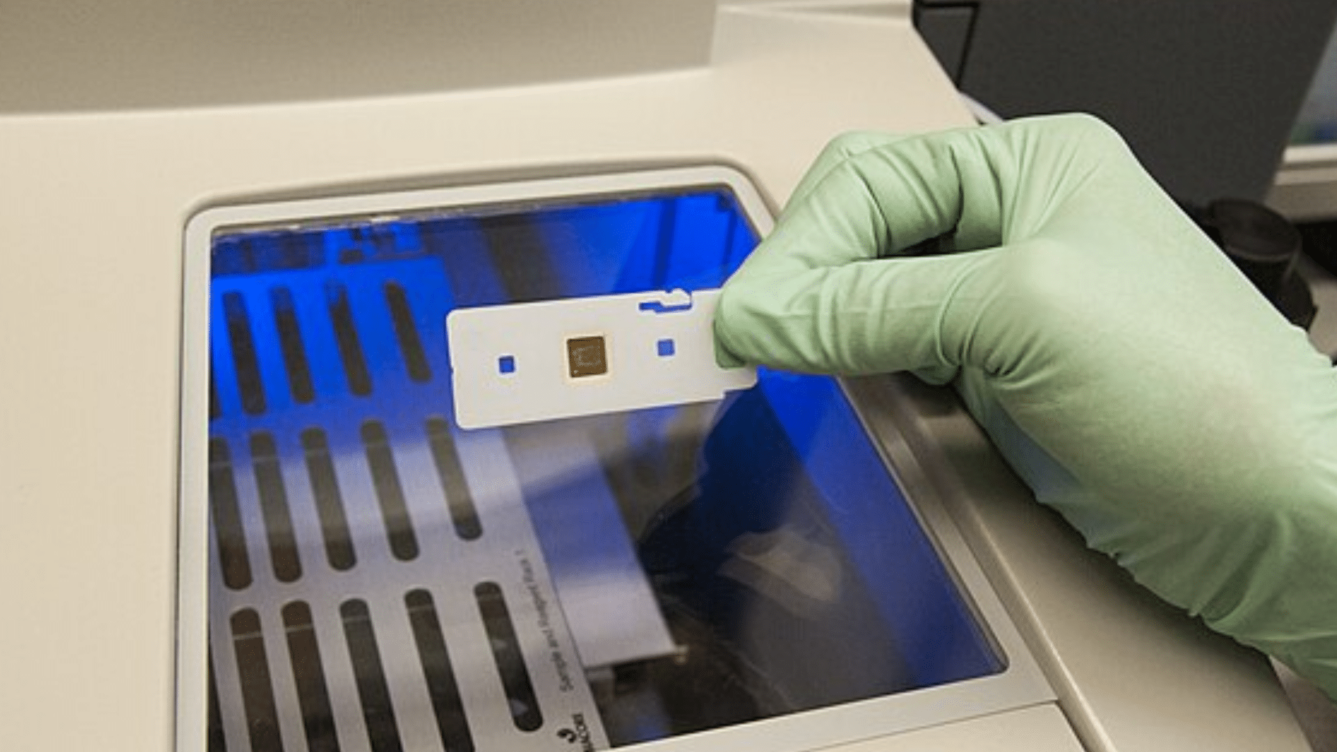 food bacteria tester from FDA