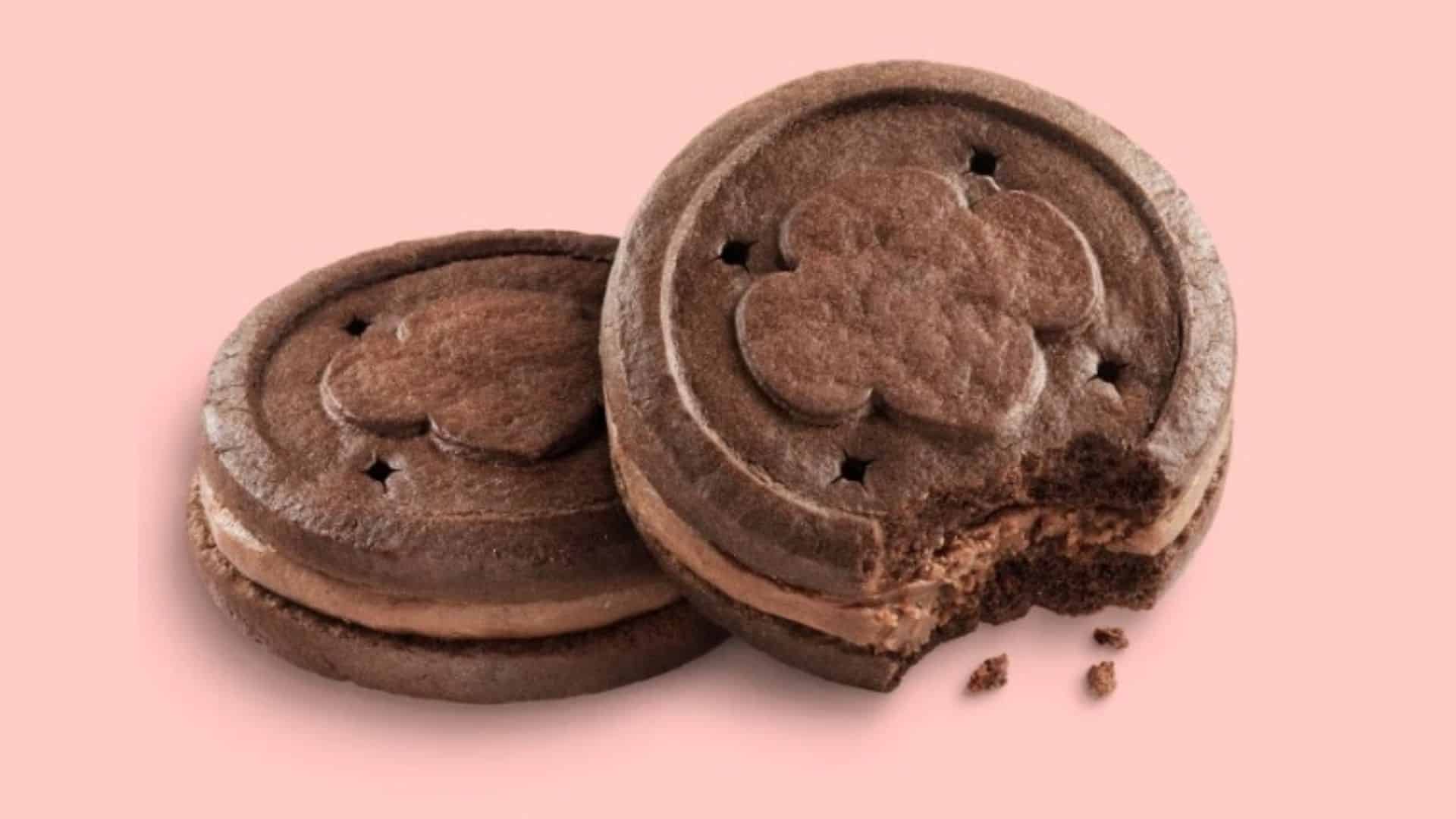 A photo of the new Girl Scout Cookies 'Exploremores'