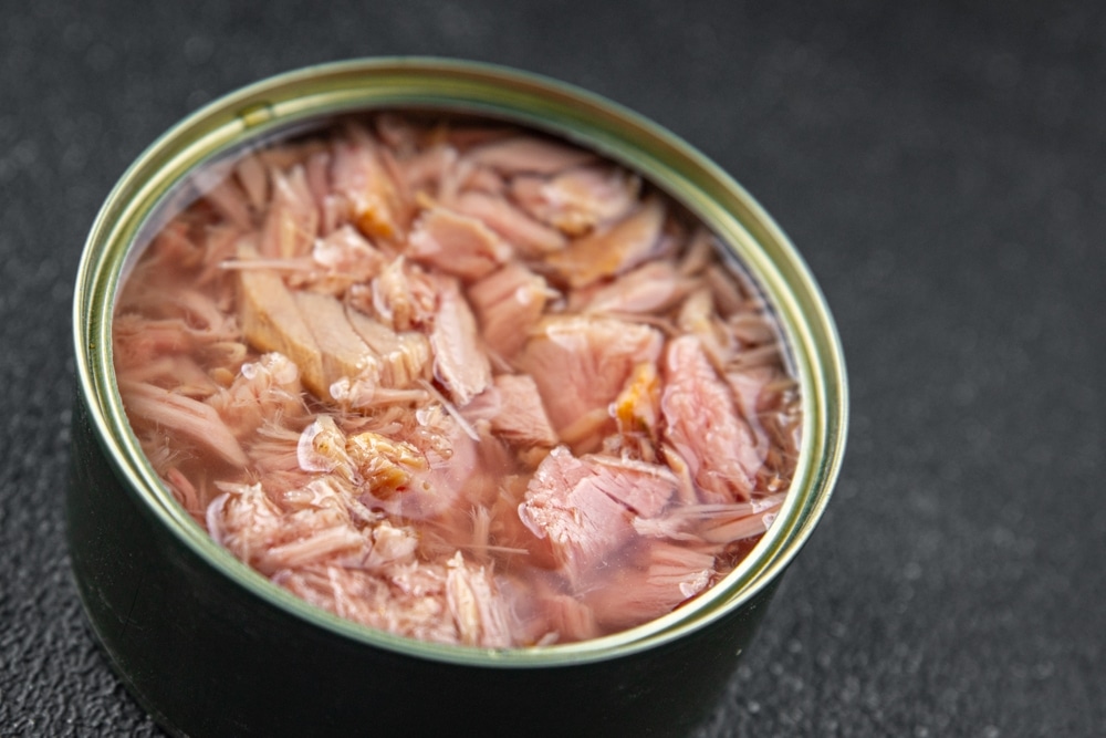 Opened can of tuna