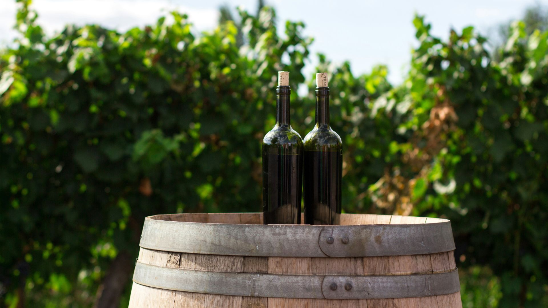 Two dark glass wine bottles resting on top of a wooden barrel