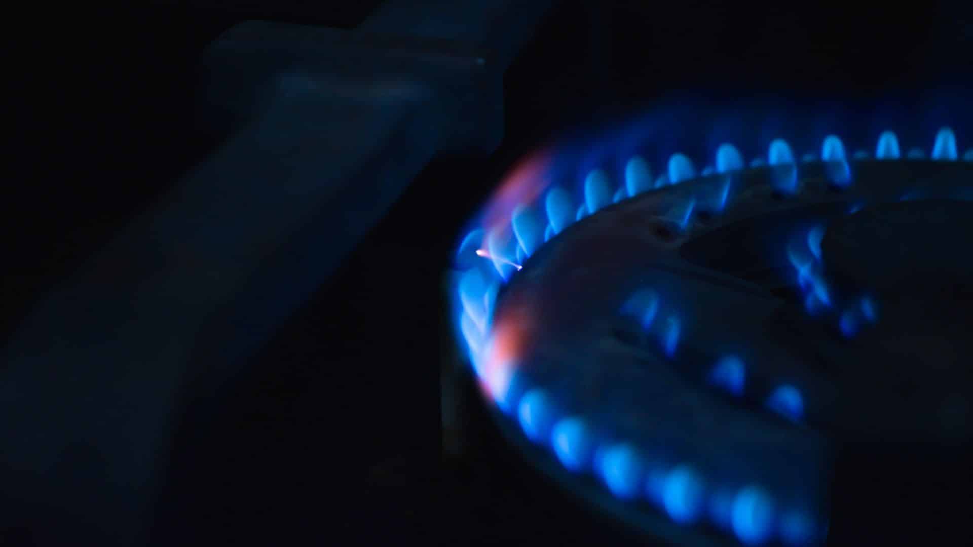 Close up view of a blue gas flame burning on a stove burner