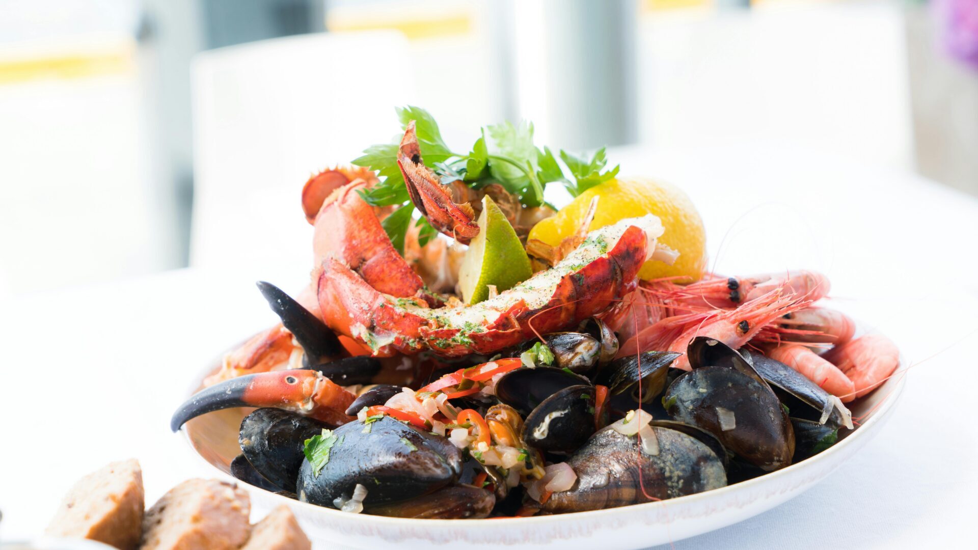 Plate of shrimp salad with leafy greens, tomatoes, and dressing served on a white dish.