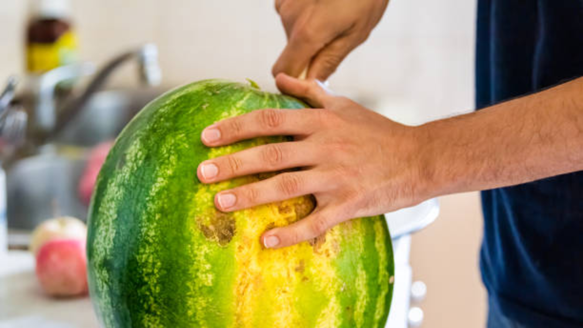 Person cutting into a watermelon showing a yellow field spot on the rind.