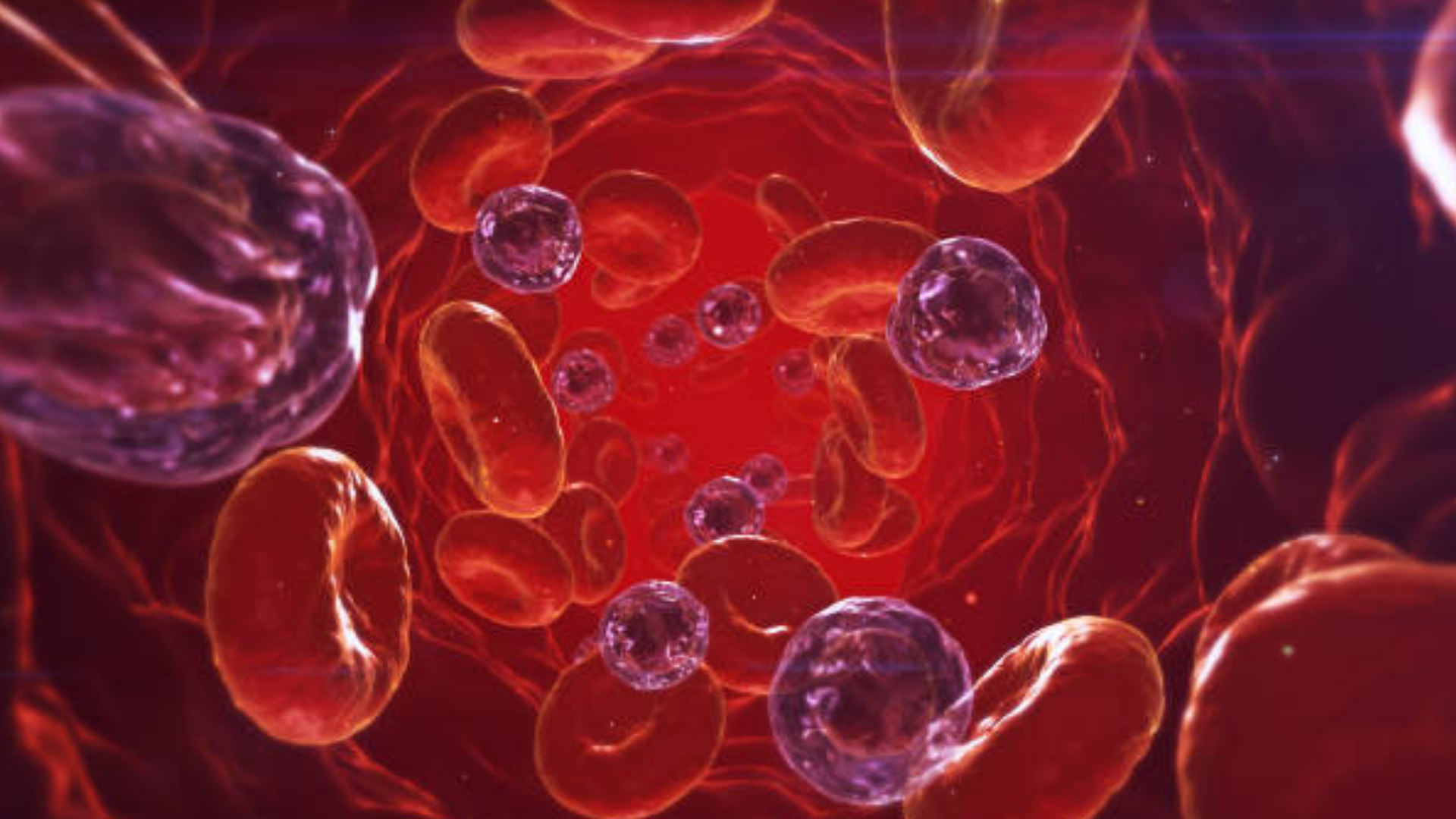 Red blood cells and microplastic particles inside a human bloodstream.