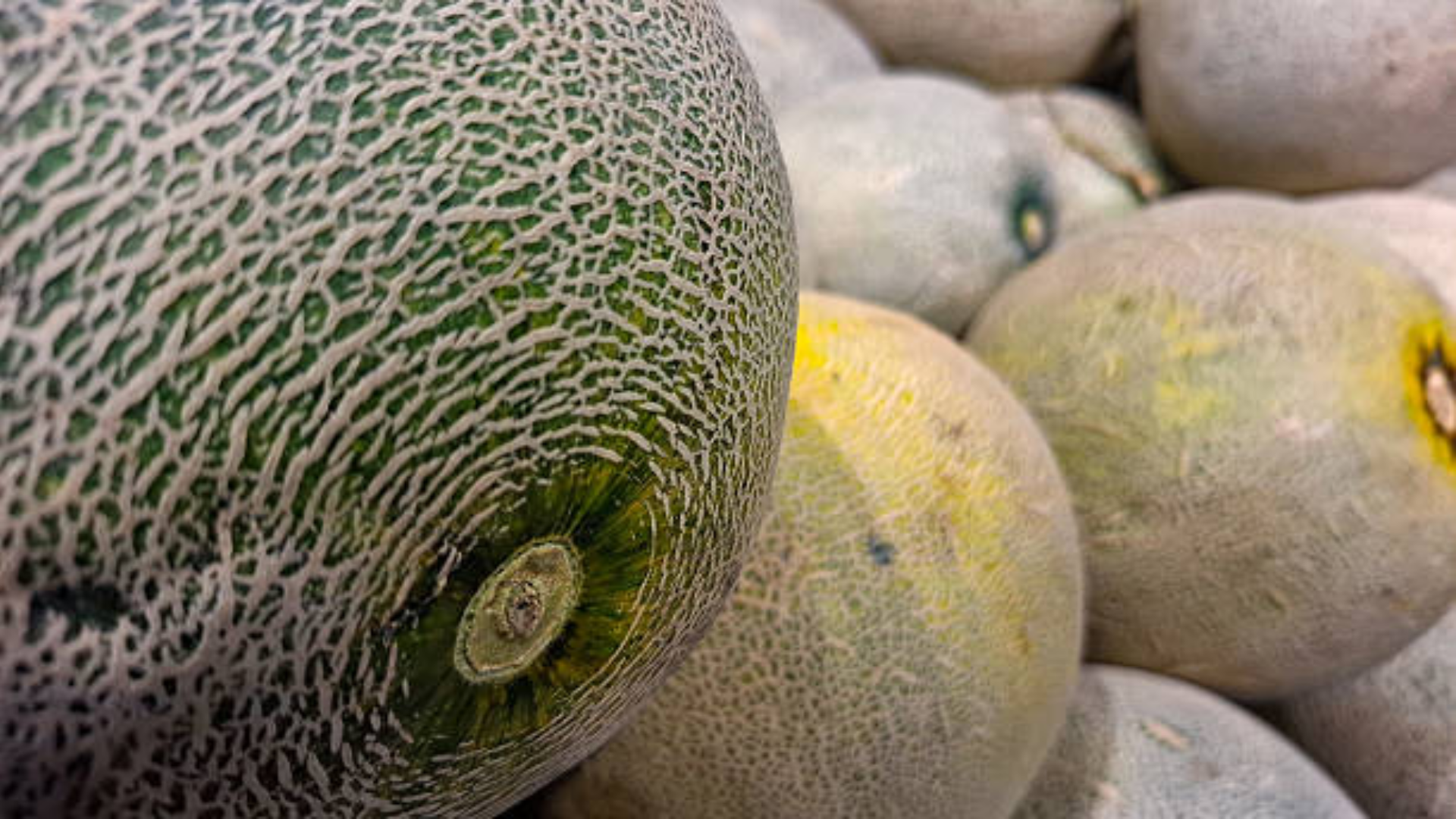 Close-up of cantaloupes piled together showing their textured rinds.