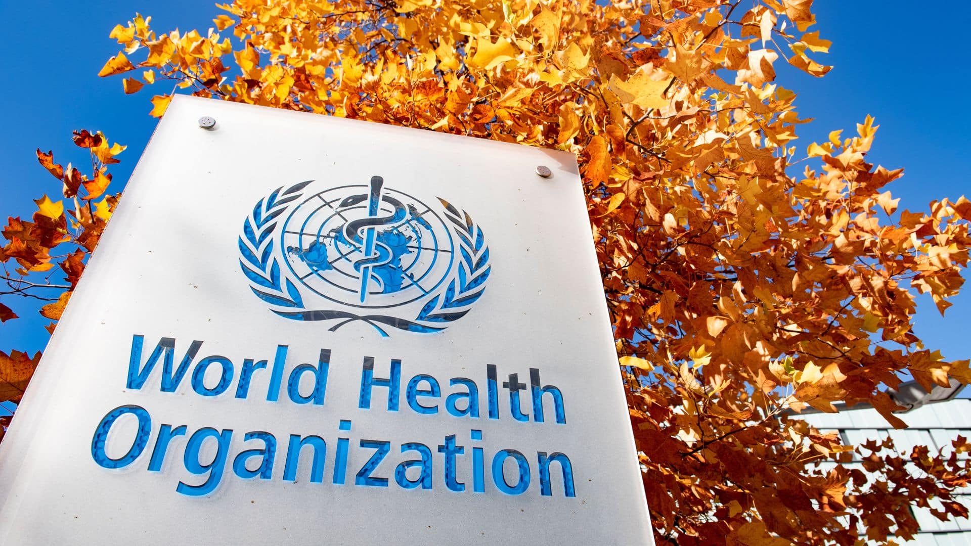 World Health Organization headquarters sign displayed outside the building