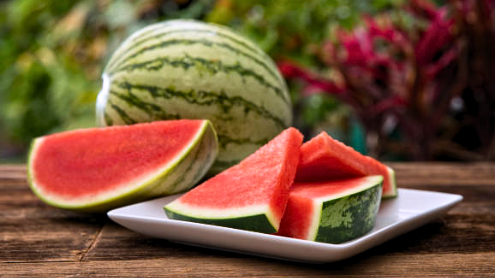 Slices of fresh watermelon arranged on a white plate on a wooden table.