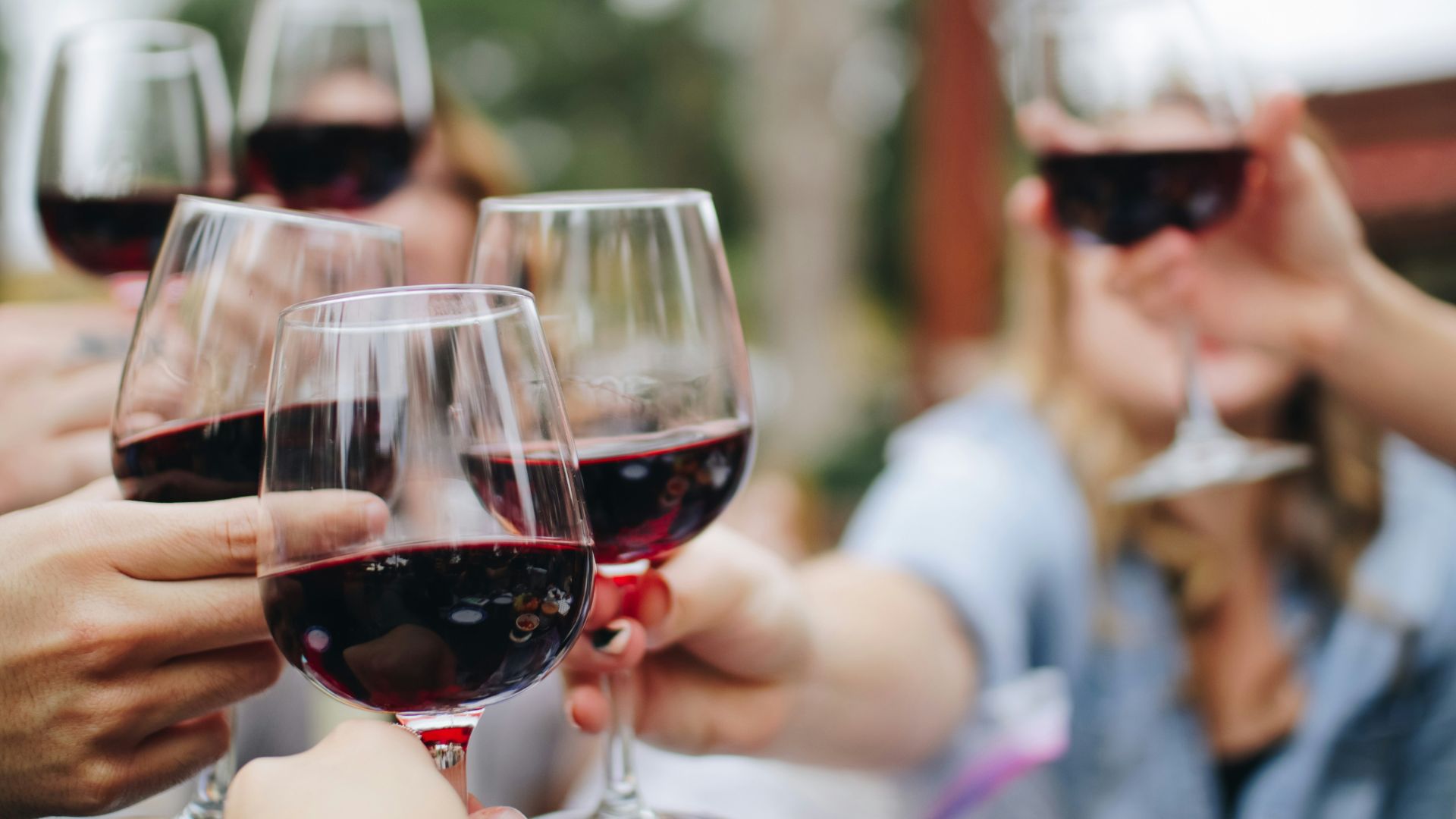 Group of people raising wine glasses in a toast at a gathering