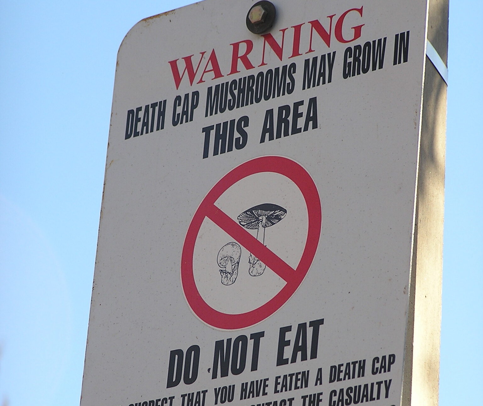 Warning sign for death cap mushrooms