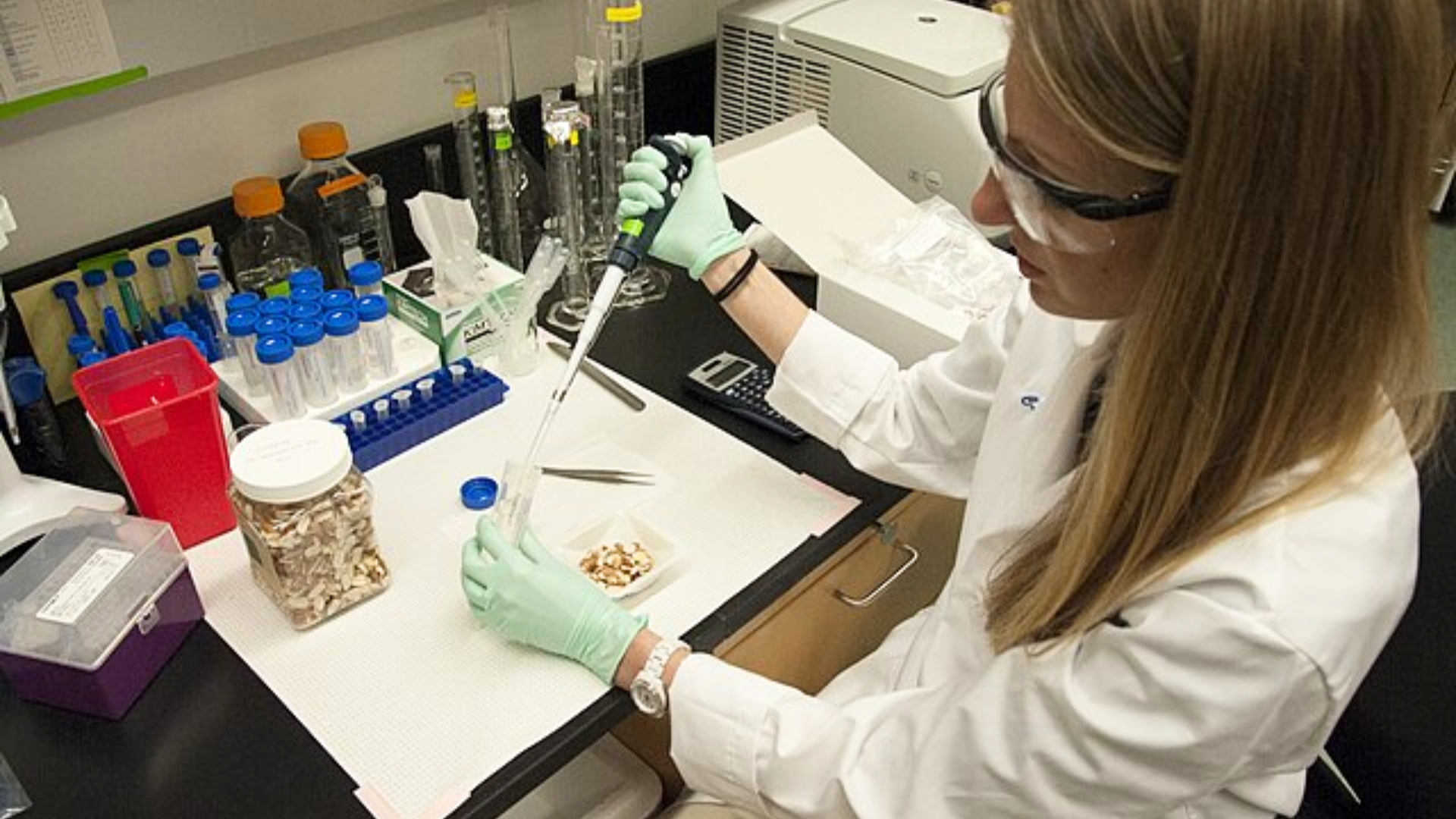 FDA Researcher Making Samples From Peanuts
