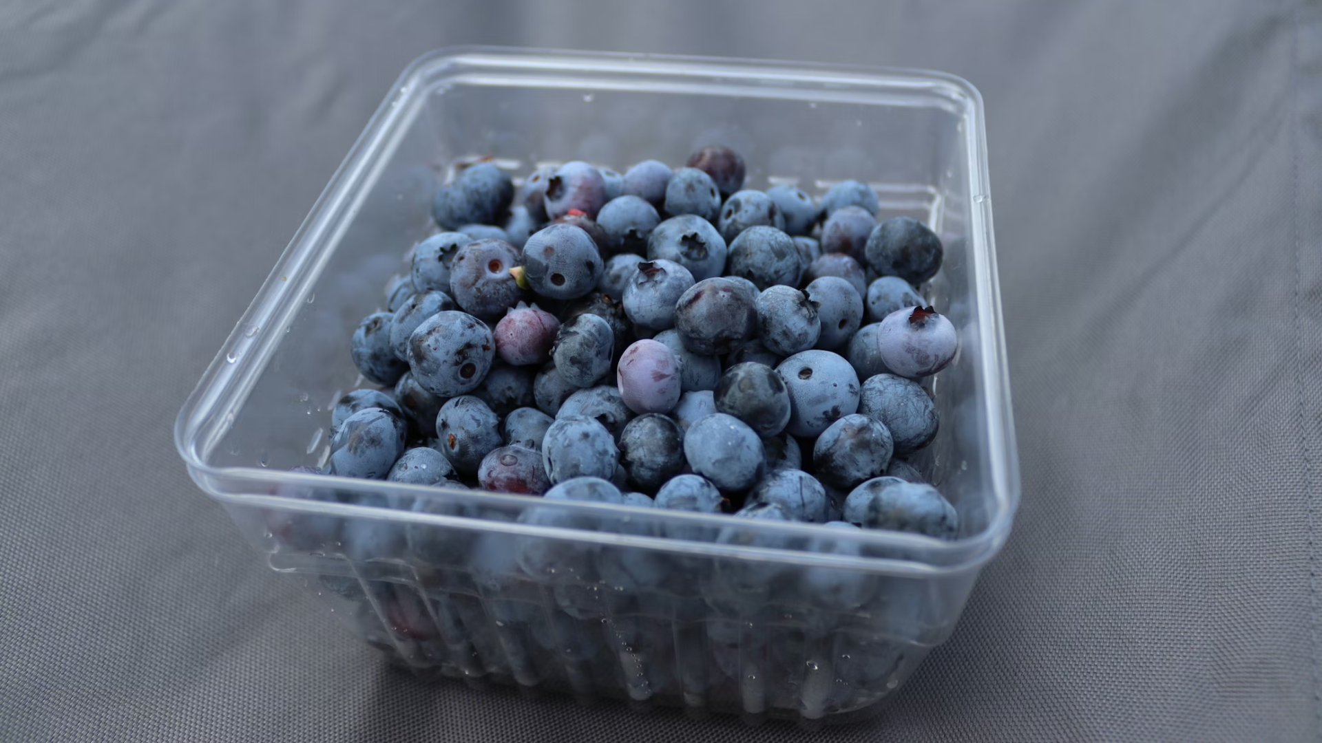 A Plastic Container of Blueberries