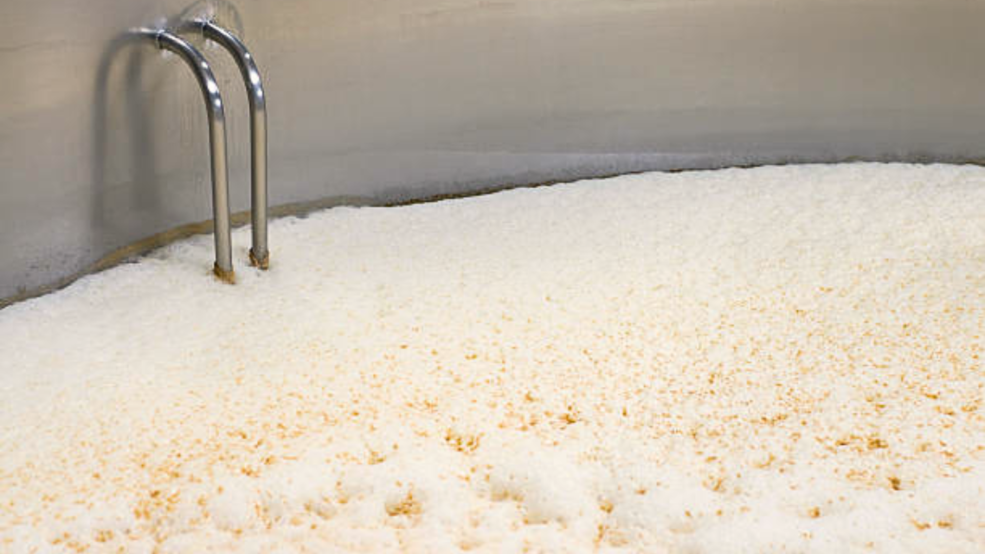 Thick, frothy yeast foam fermenting inside a large industrial stainless steel brewery vat.
