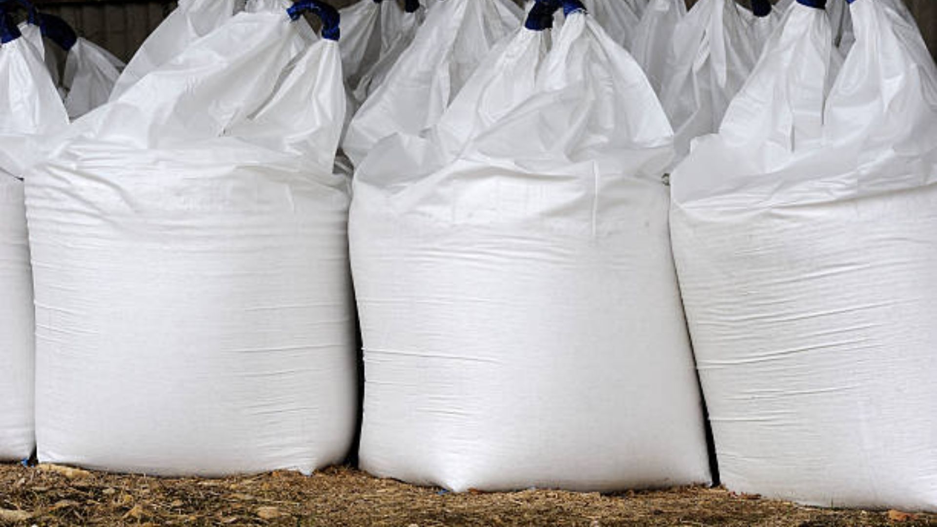 Several large white industrial bulk bags filled with product sitting on a gravel surface.