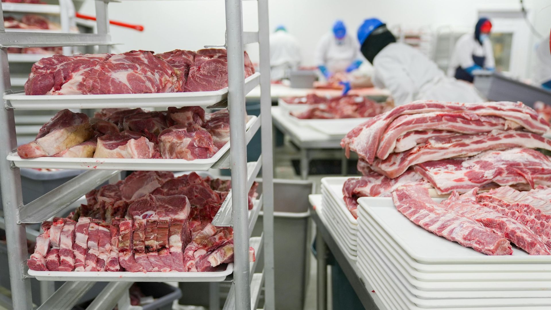 Trays of raw pork cuts stacked on racks inside a meat processing facility.