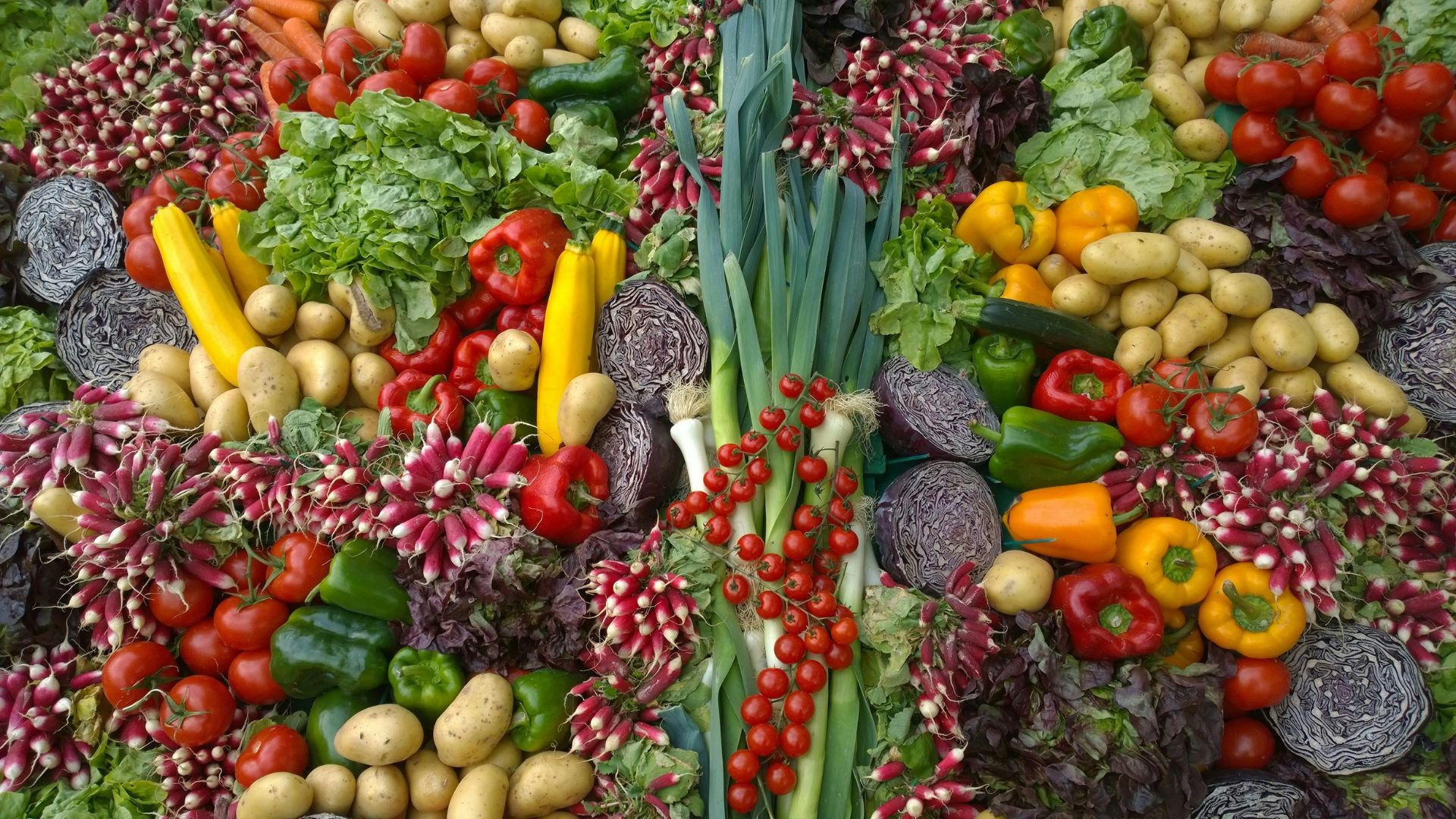 Wide assortment of fresh vegetables including tomatoes, peppers, lettuce, potatoes, and radishes arranged together
