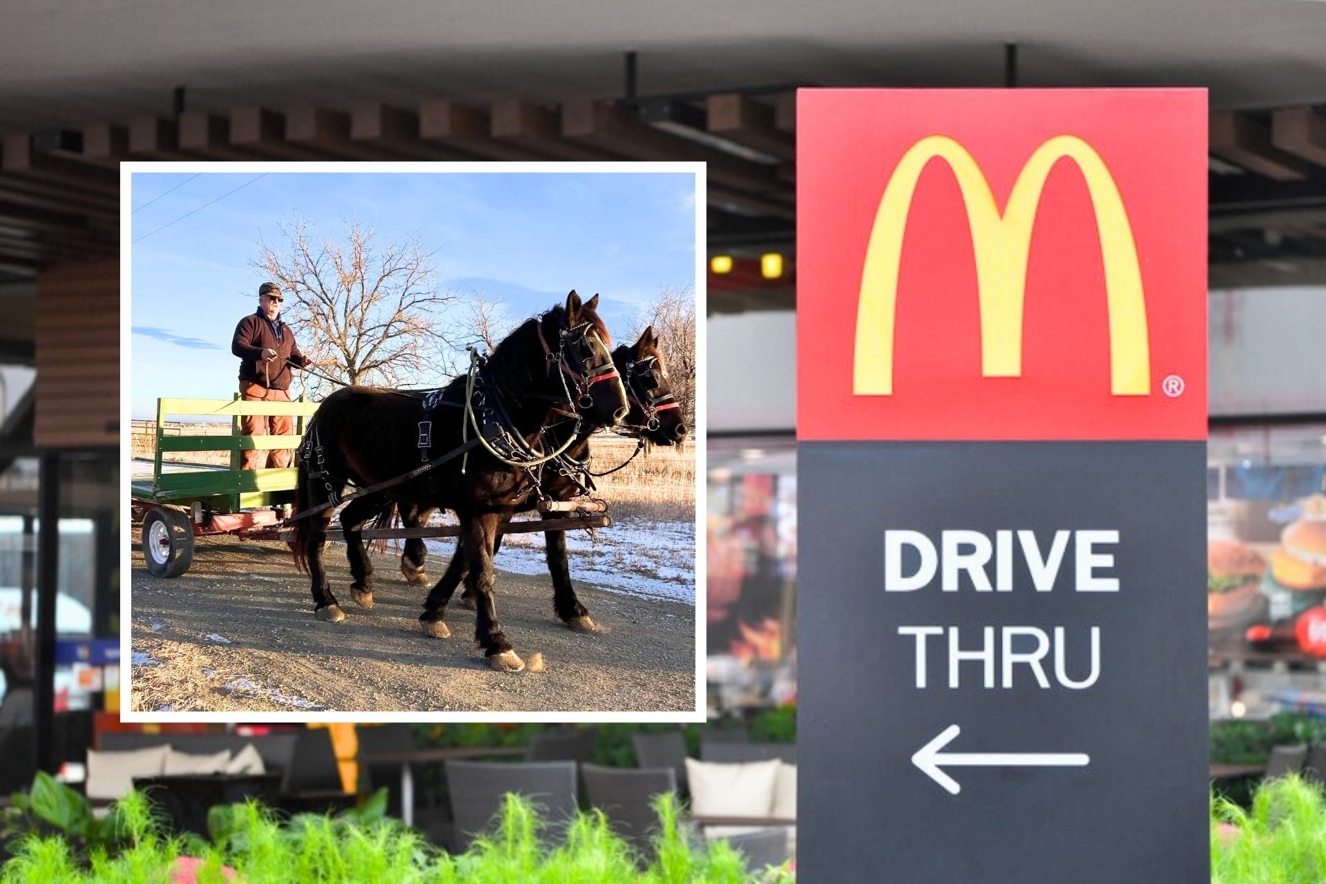 Man Banned From McDonald’s After Riding Horse-Drawn Wagon Through Drive-Thru