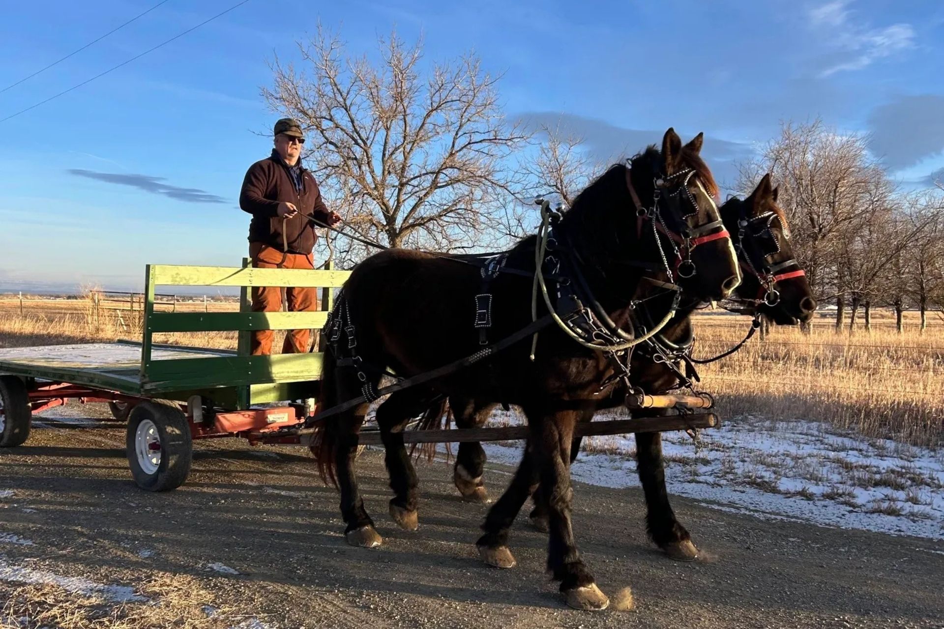 Allen Hatch riding his horse-drawn wagon.