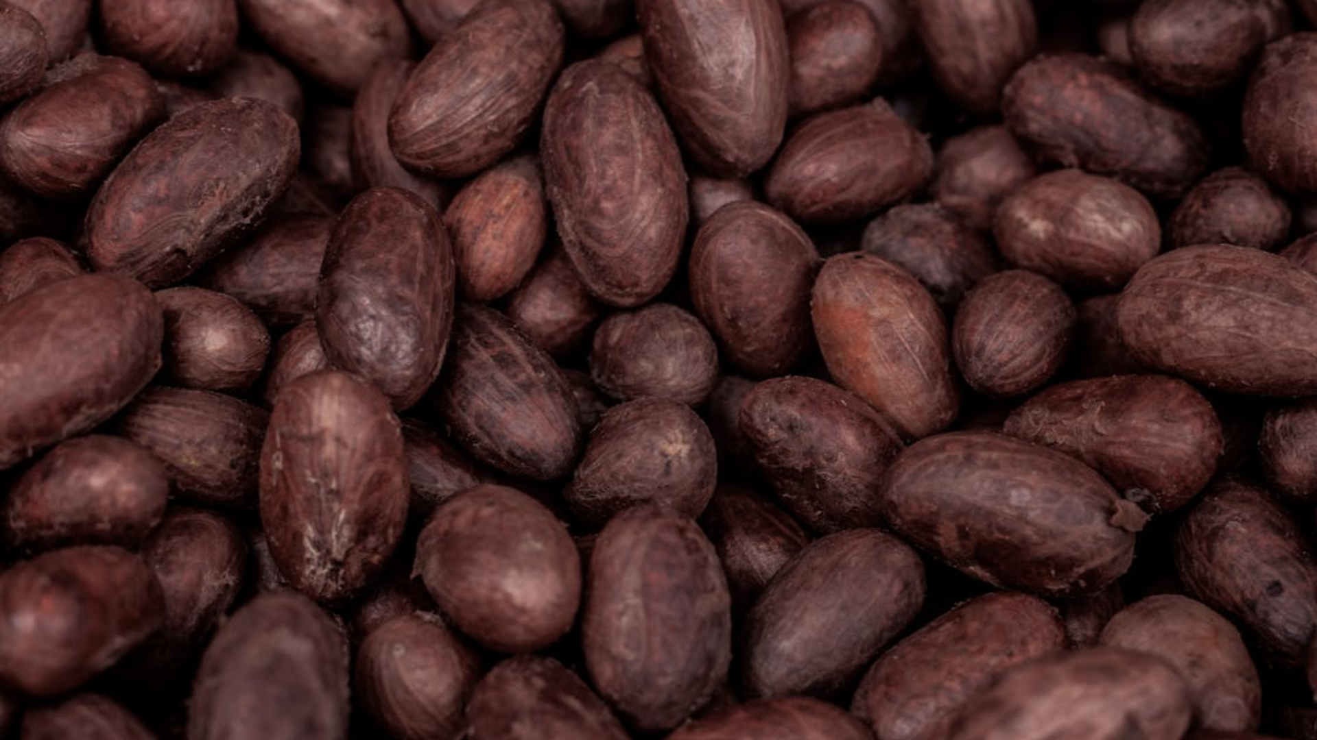 A dense pile of dark brown, whole cocoa beans