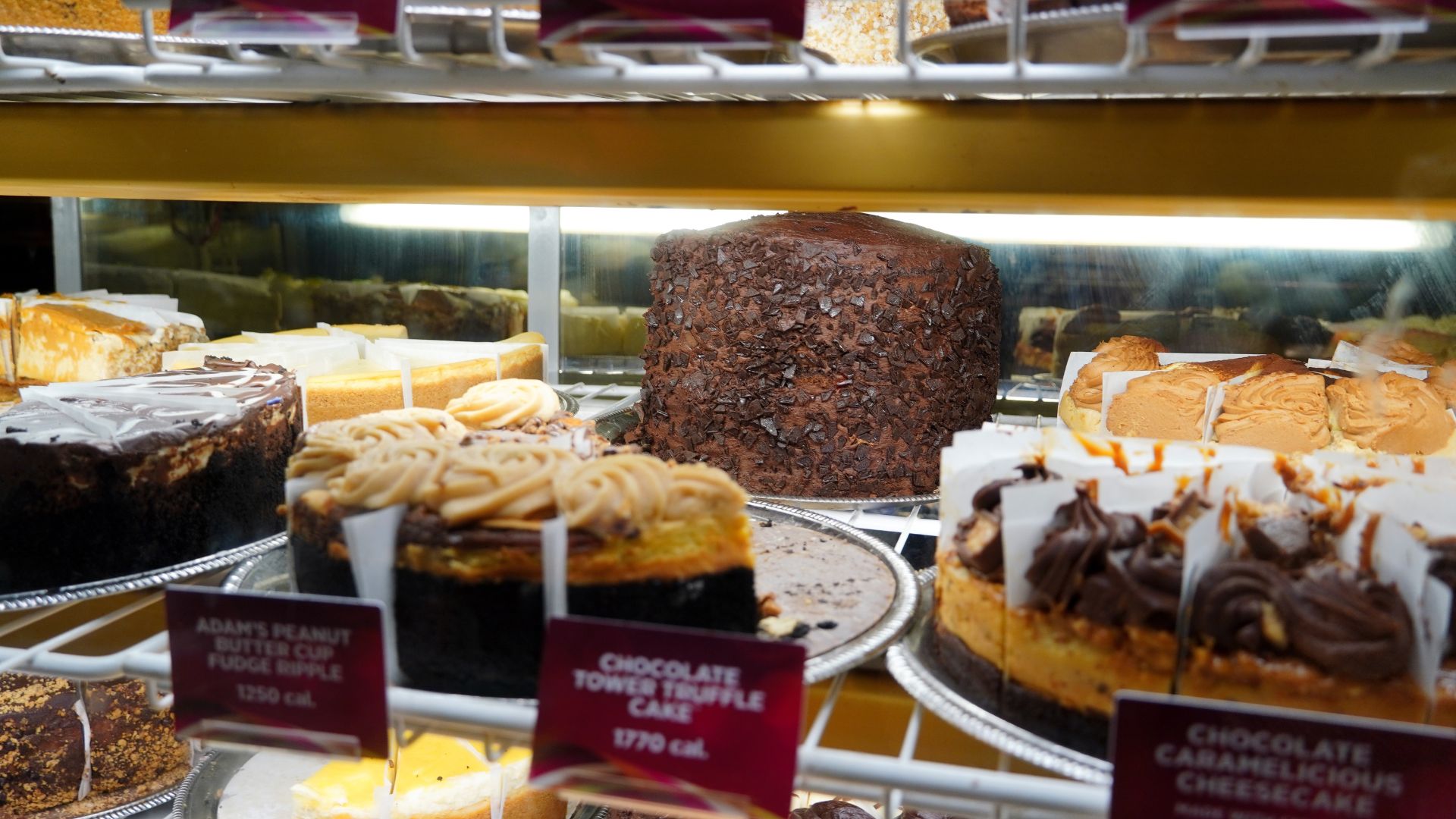 A variety of decadent cheesecakes and a large chocolate cake are displayed in a bakery case.