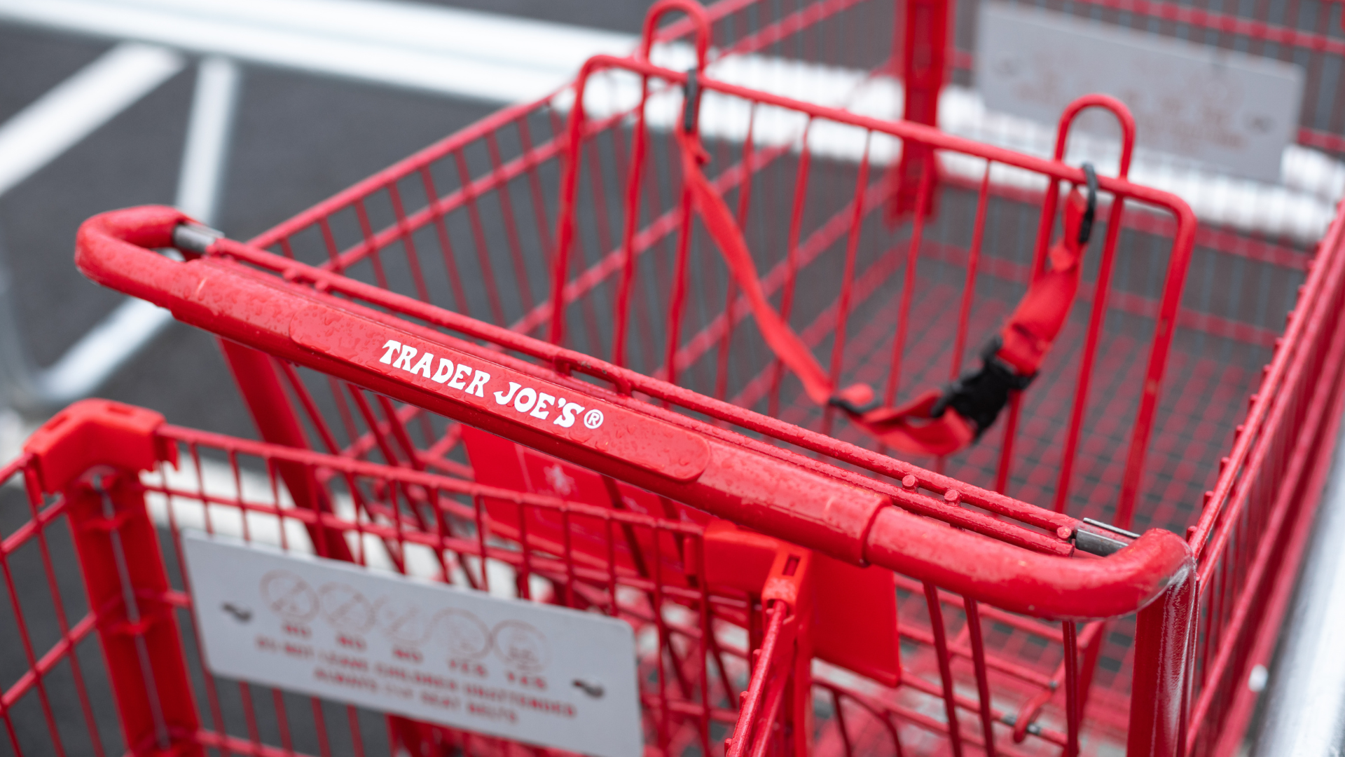 Close-up of a red Trader Joe's shopping cart handle with the store name visible.