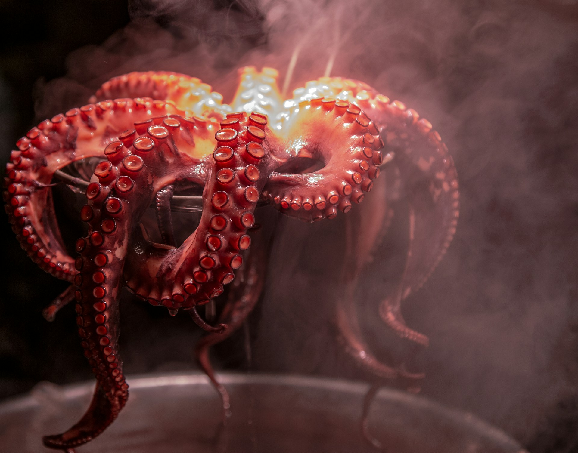Octopus being lifted from a steaming pot.