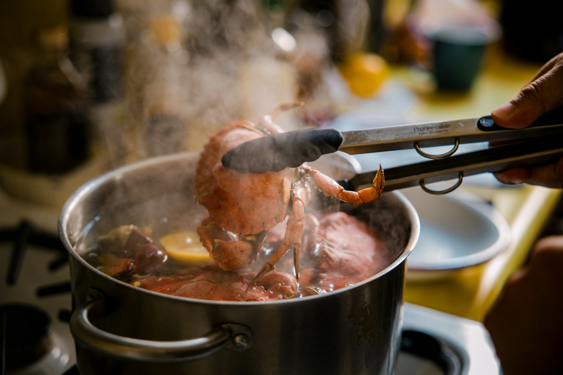 Cooked crab being lifted by tongs from a steaming pot with lemon slices.