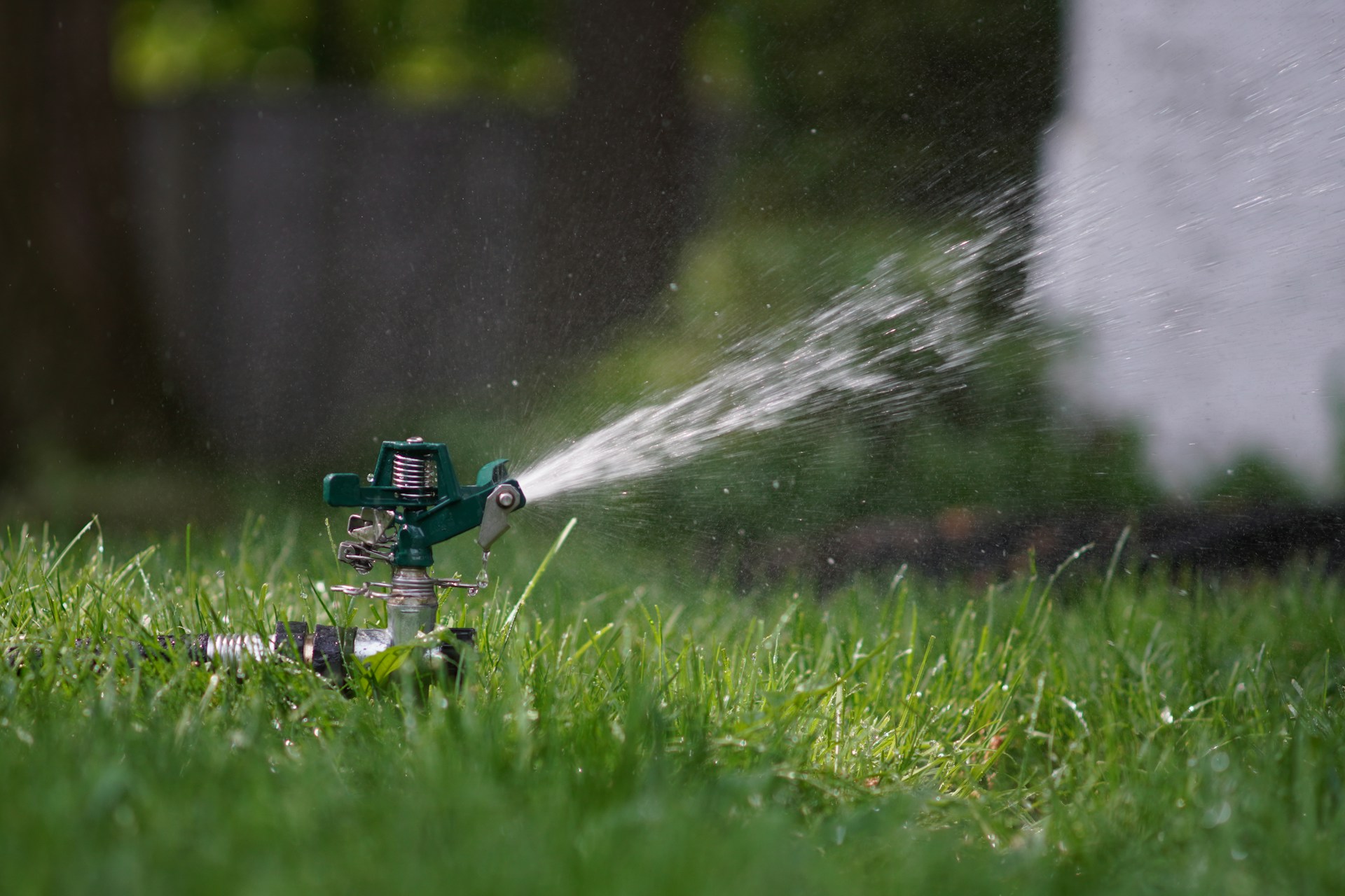 Lawn sprinkler spraying water across green grass in a backyard.