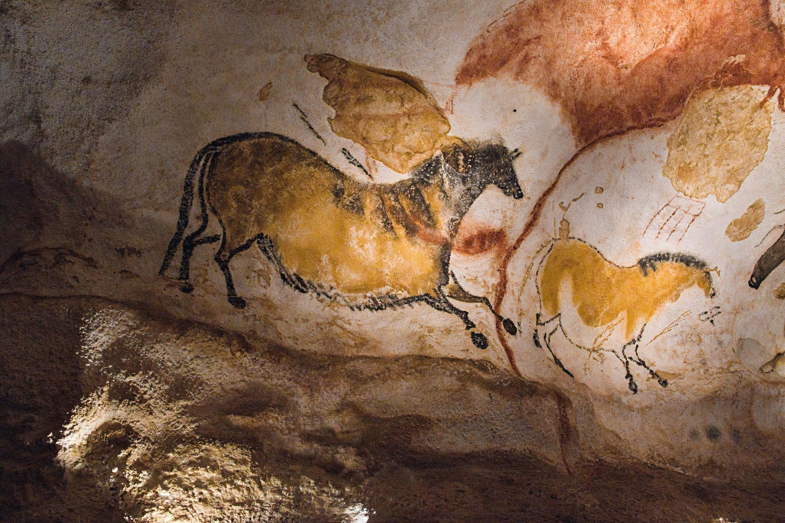 Prehistoric cave painting of horses on a rock wall.